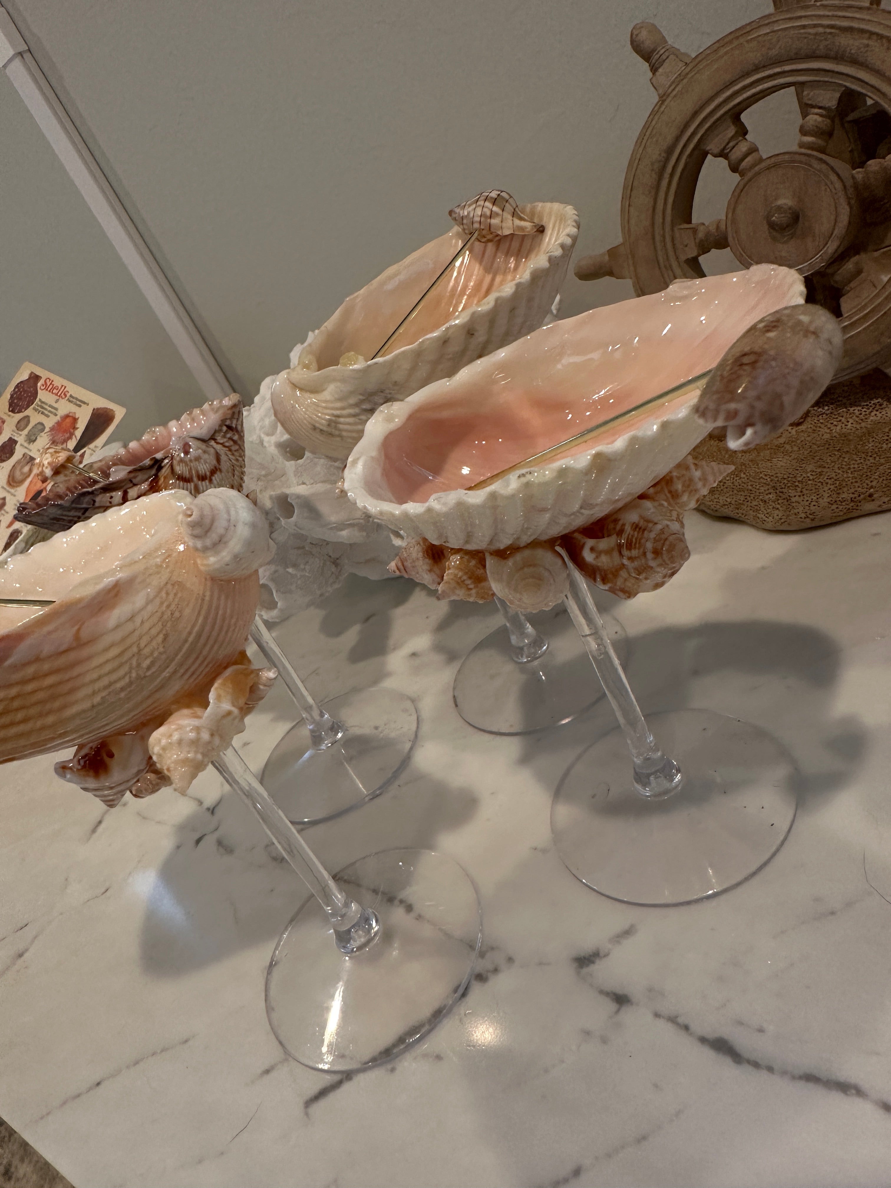 Shell Tini glasses set