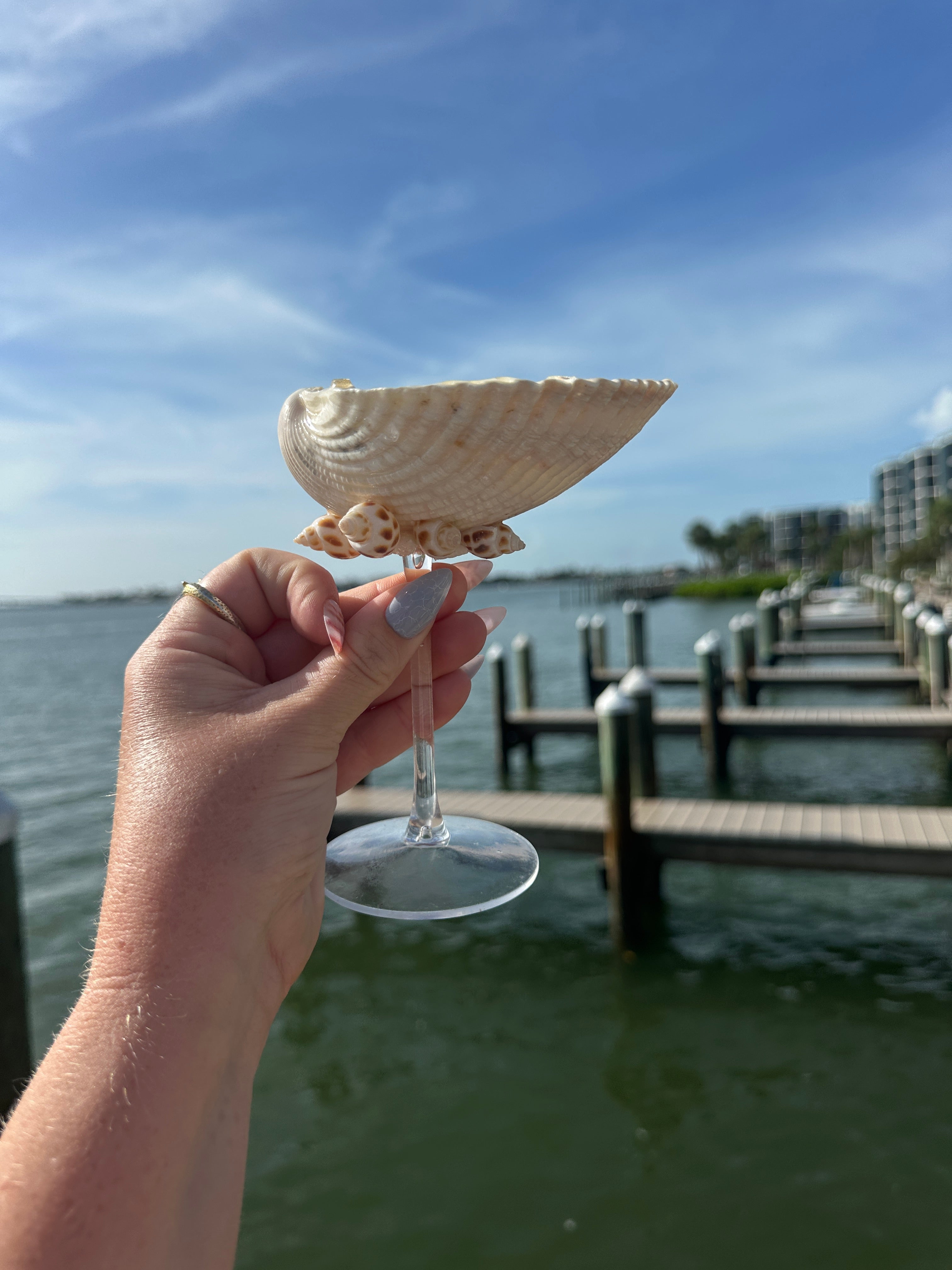 8 Pack Shelltini Glasses + Shell skewers