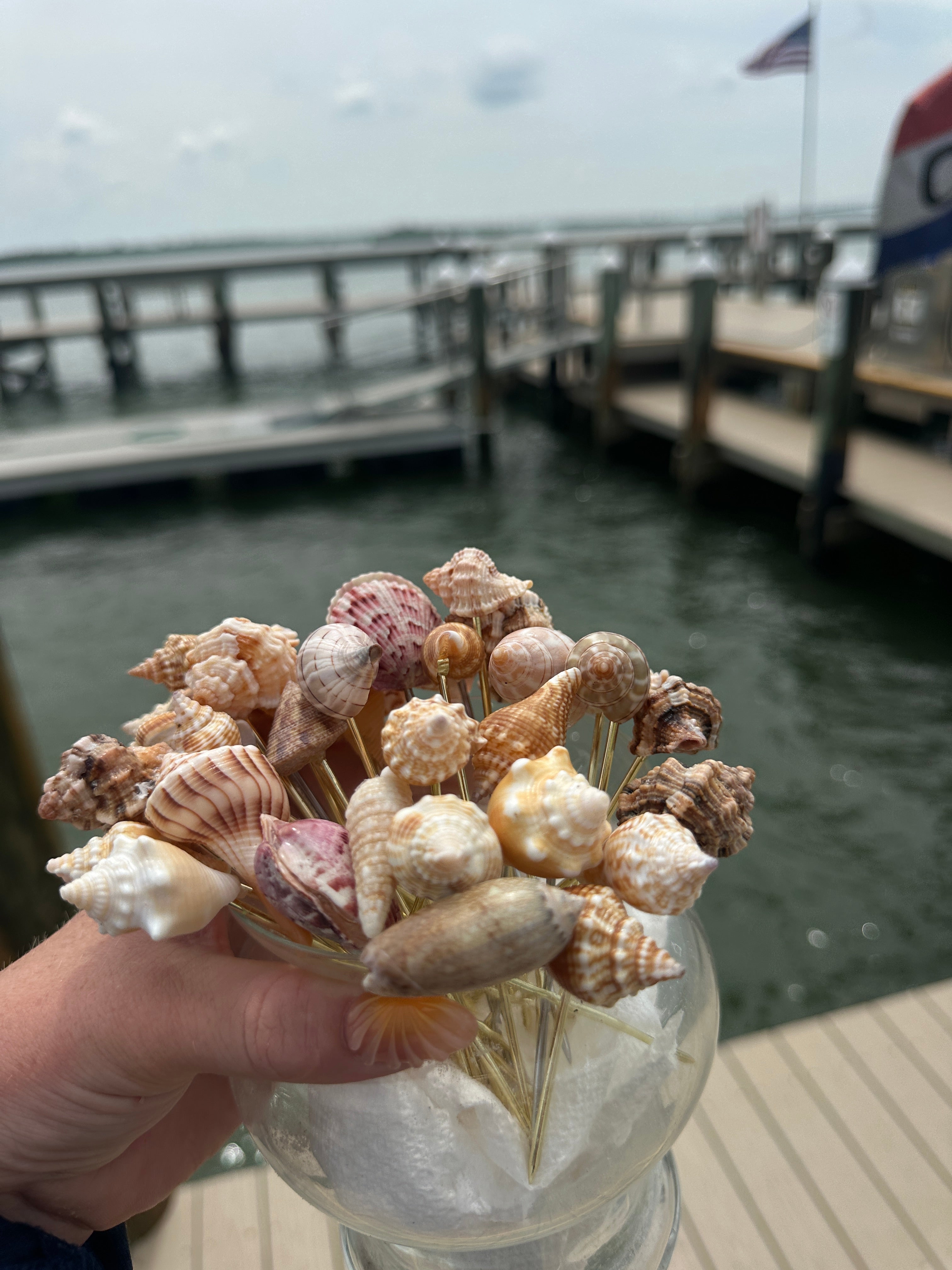 Shell cocktail spears (10 pack )