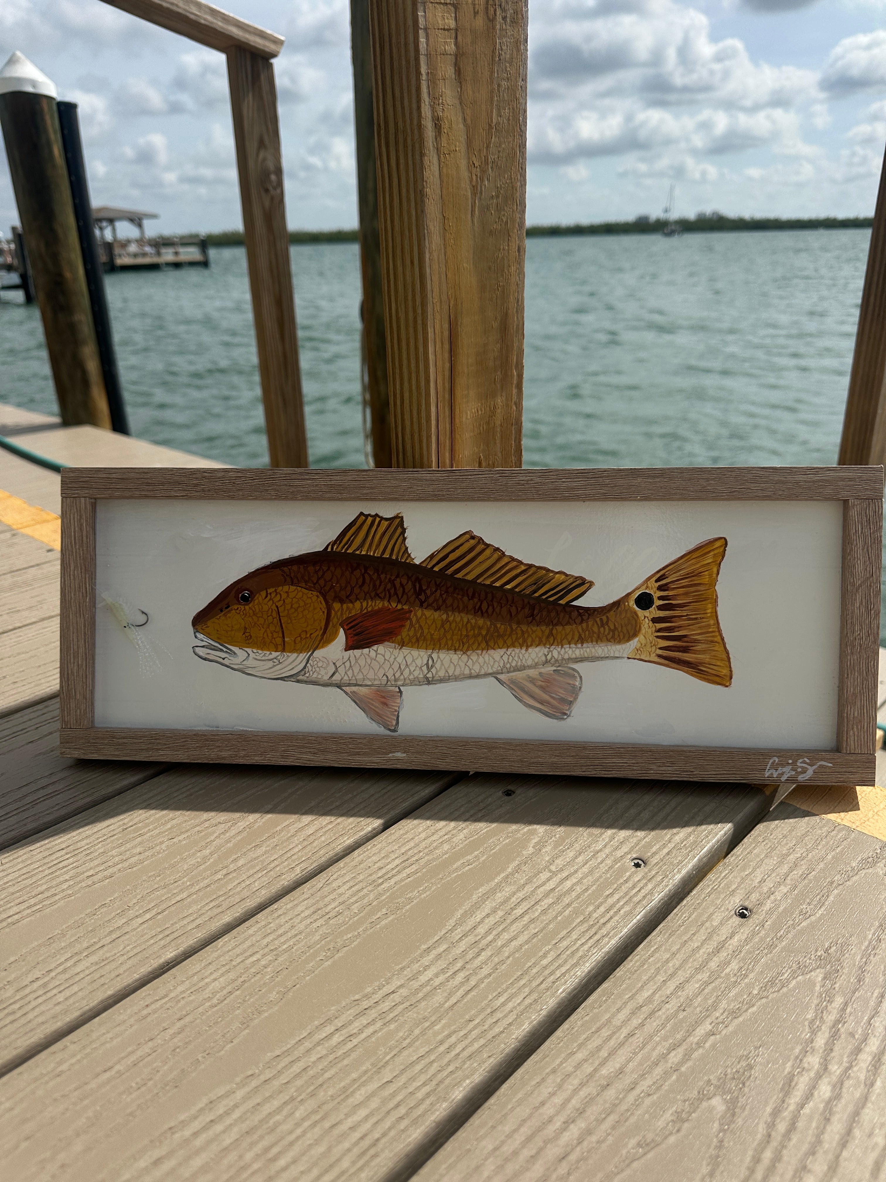 Redfish