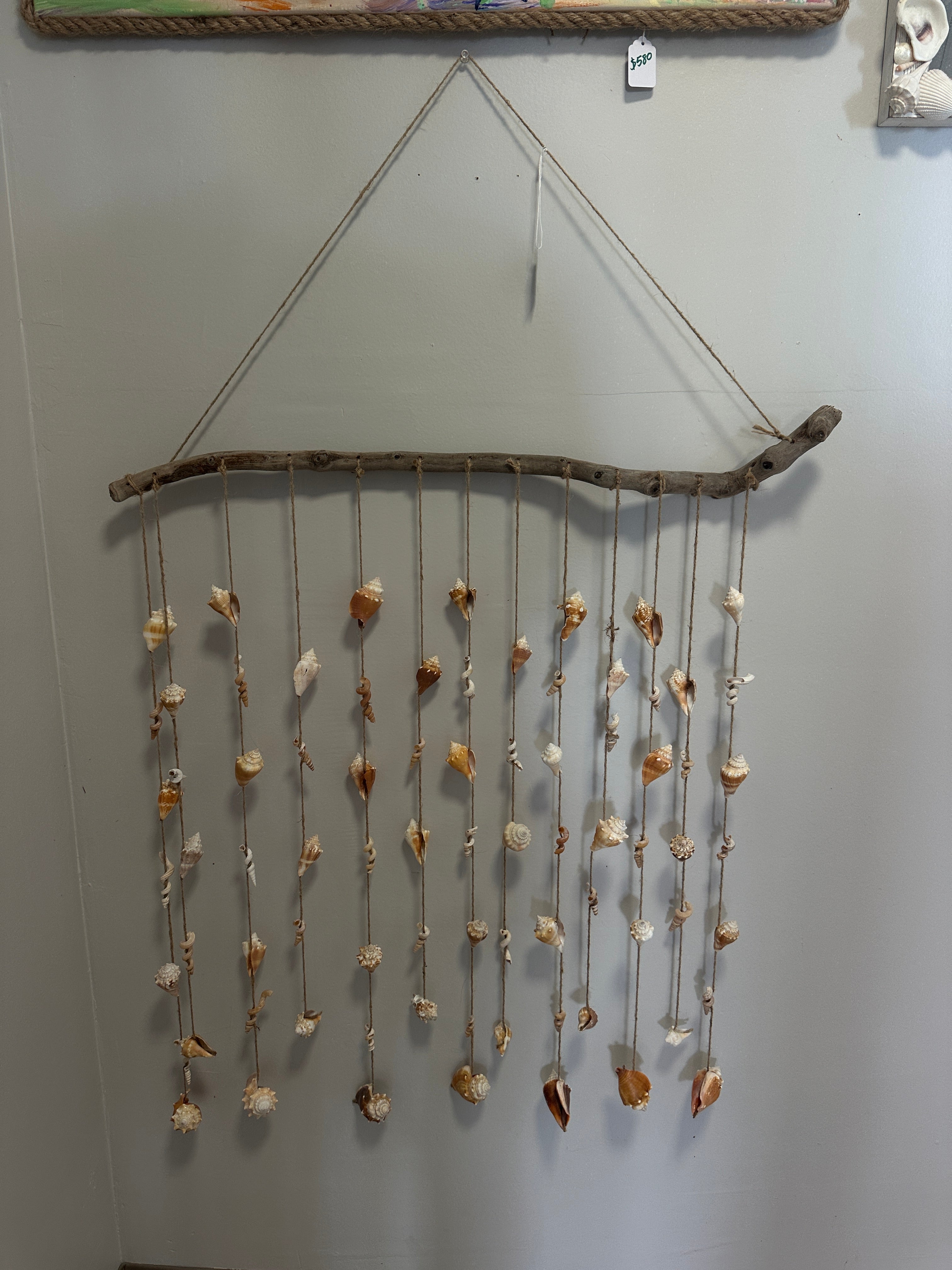 Wall Shell Art