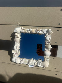 Shell mirror