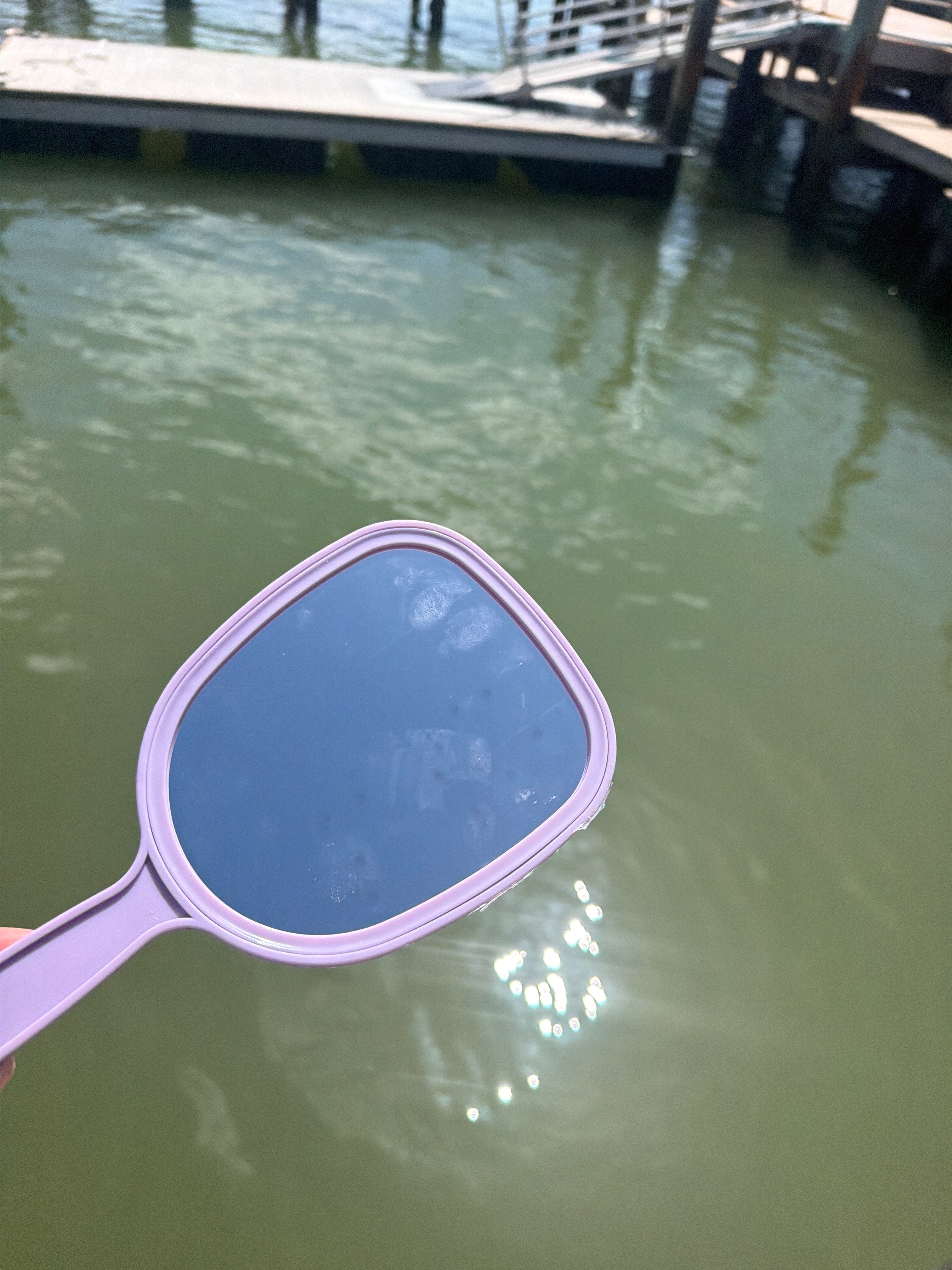 Handheld Shell Mirror