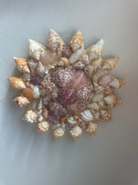 Sunshell