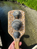 Shell Hair Brush
