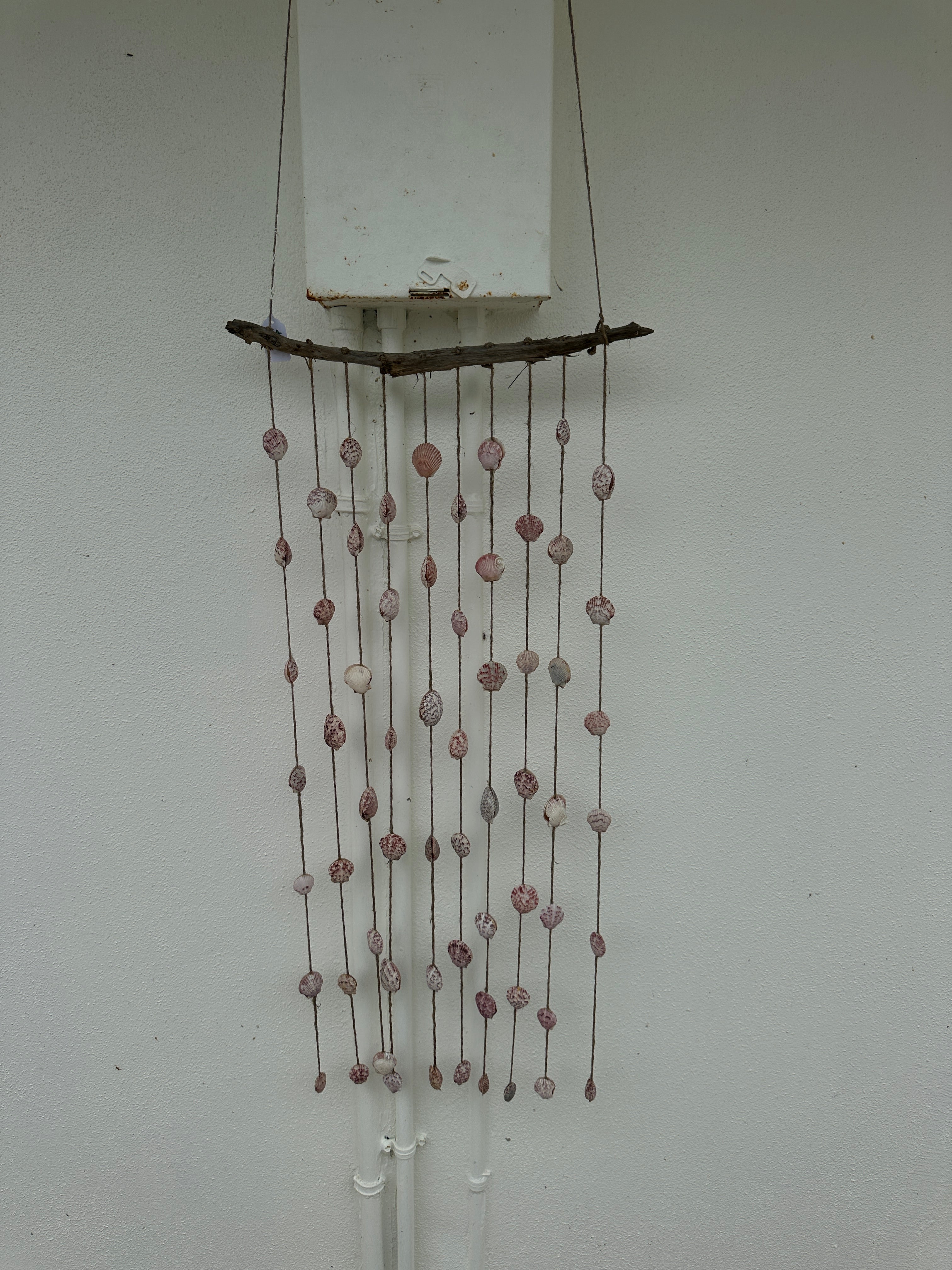 Pink scallop drift wood wind chime