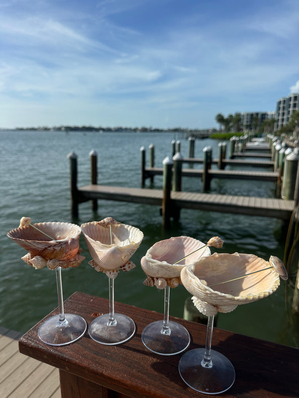 4 Shell Tini glasses set