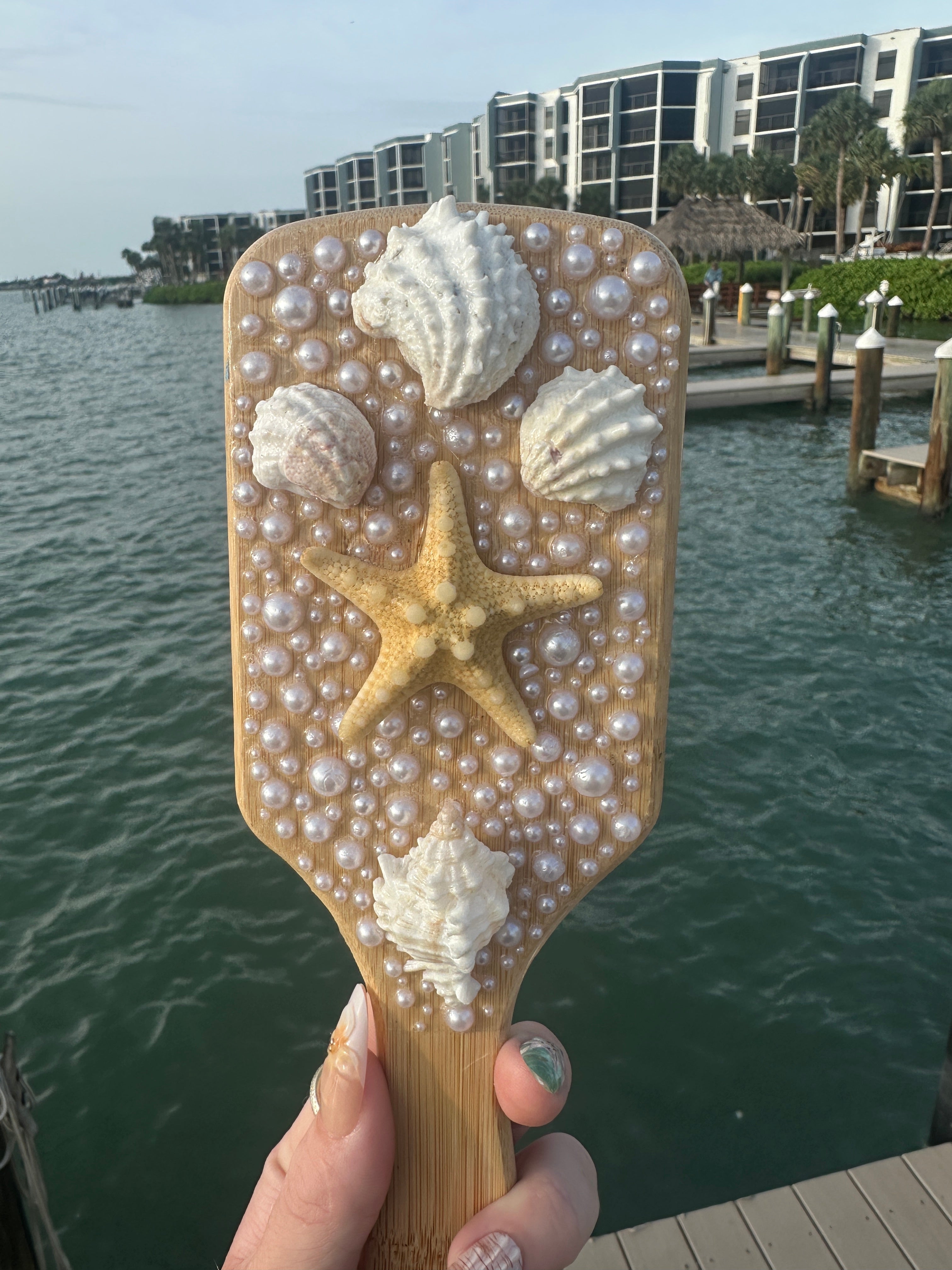 Shell hair brush