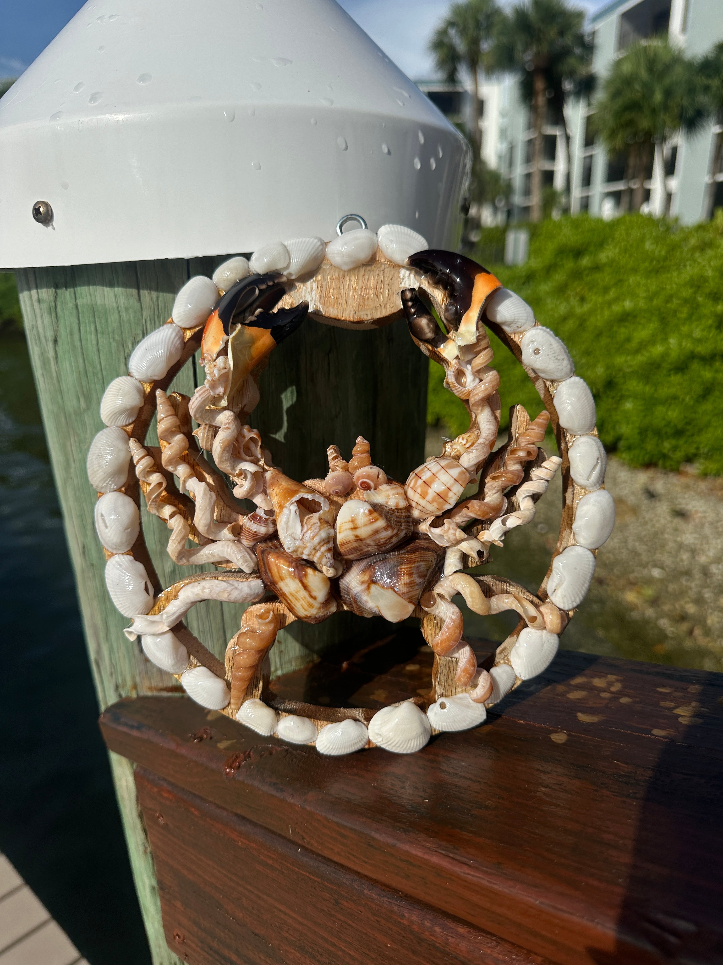 Crustacean crab