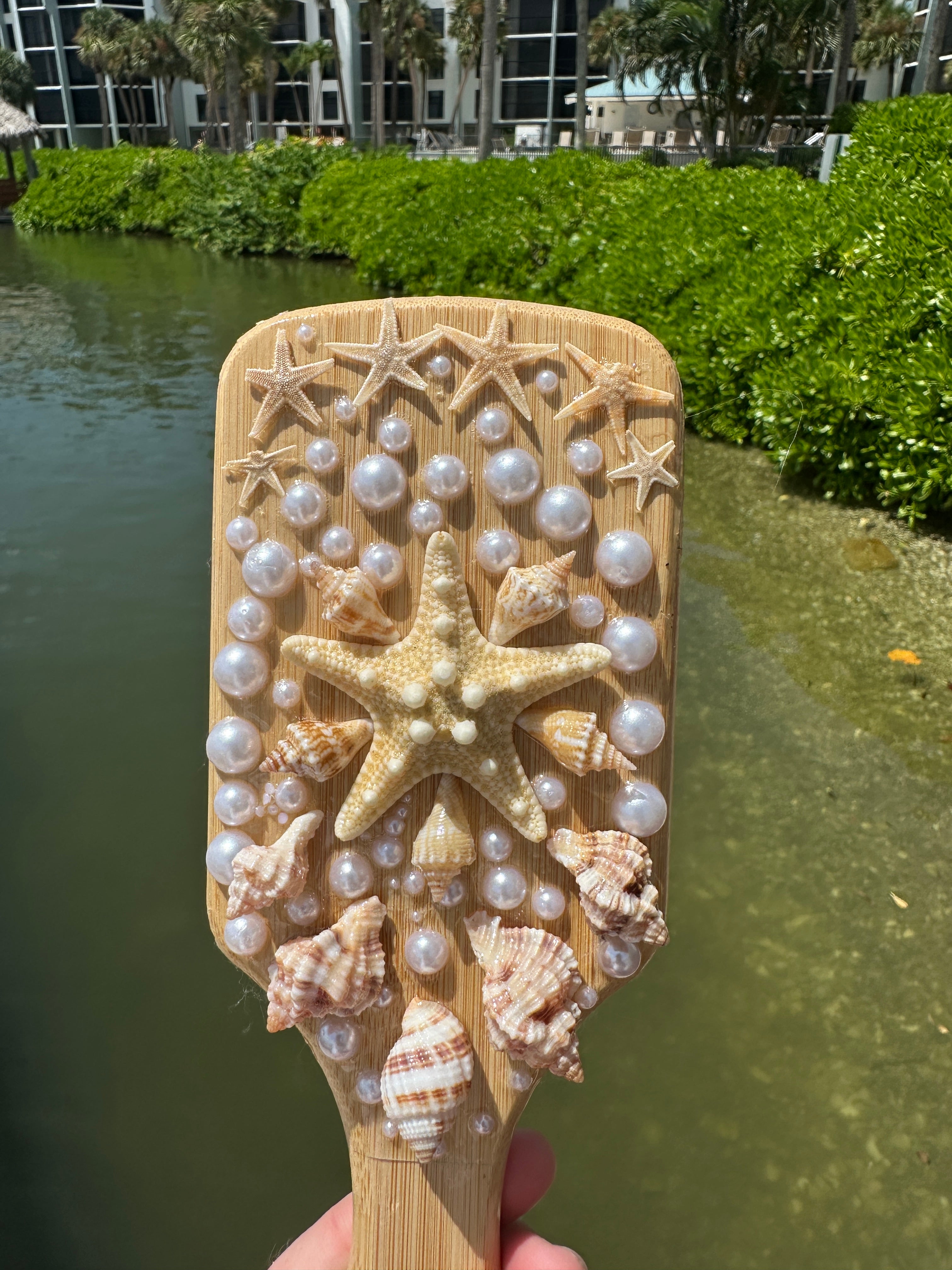 Shell Hair Brush