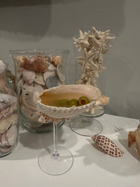 Shell Tini glasses set