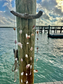 Drift Wood Shell Wind Chime