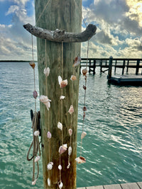 Drift Wood Shell Wind Chime