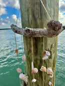 Drift Wood Shell Wind Chime