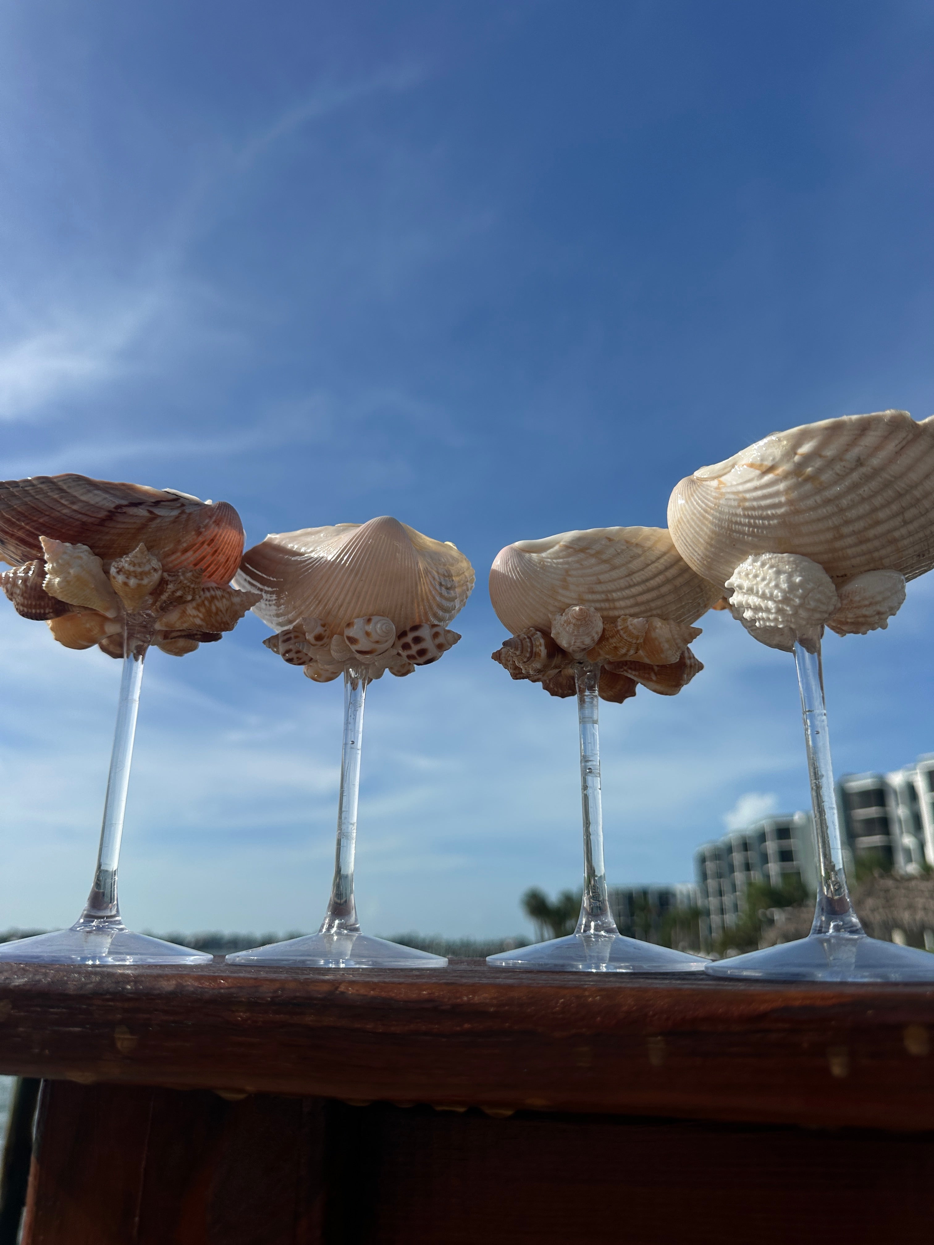 Shell Tini glasses set