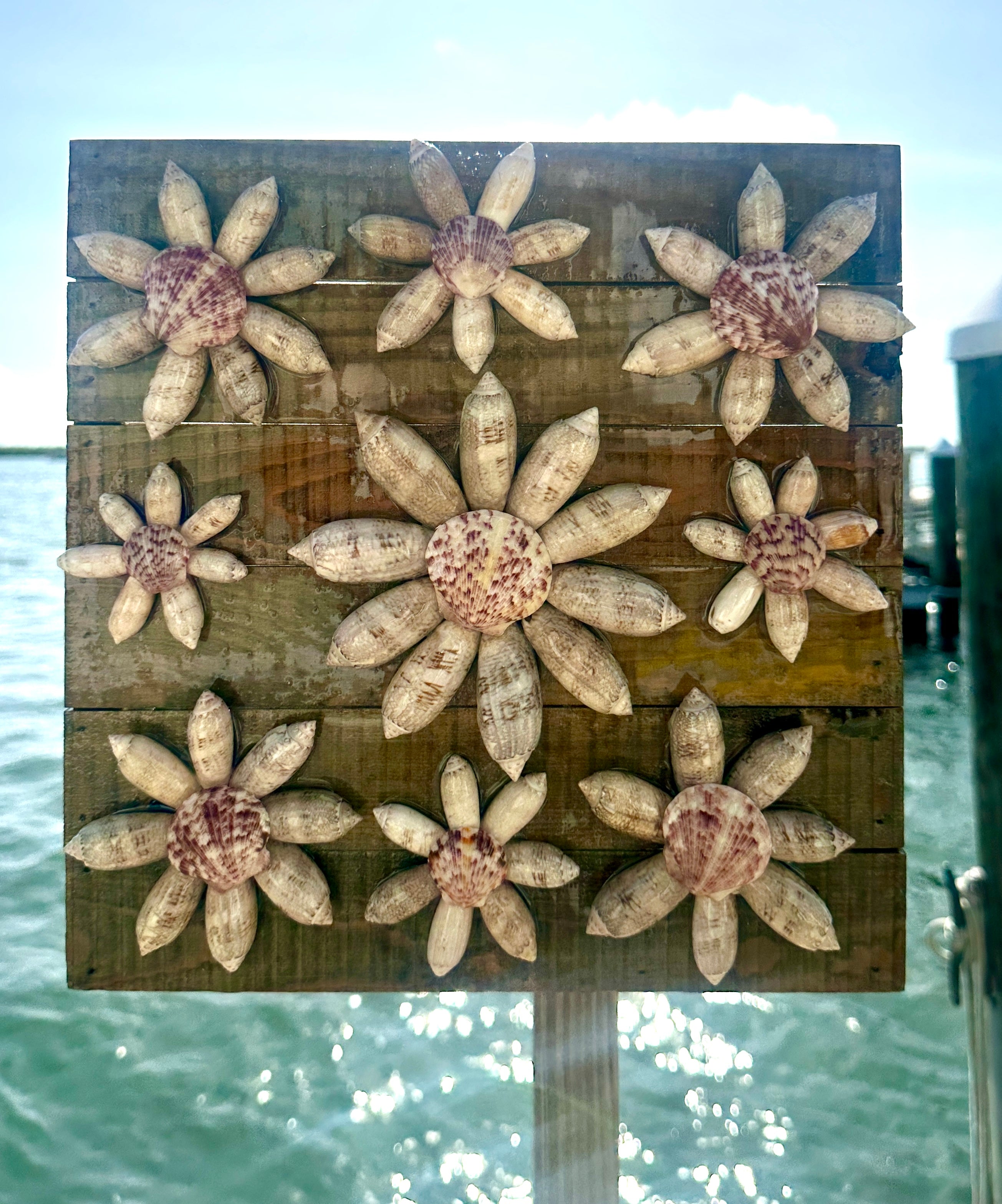 Shell flowers