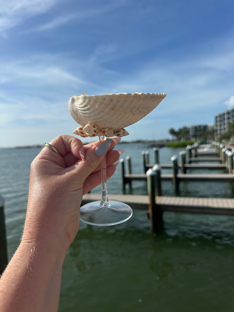 Single Shell Tini