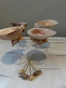 Shell Tini glasses set