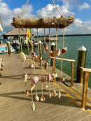 Drift Wood Shell Wind Chime "mini"