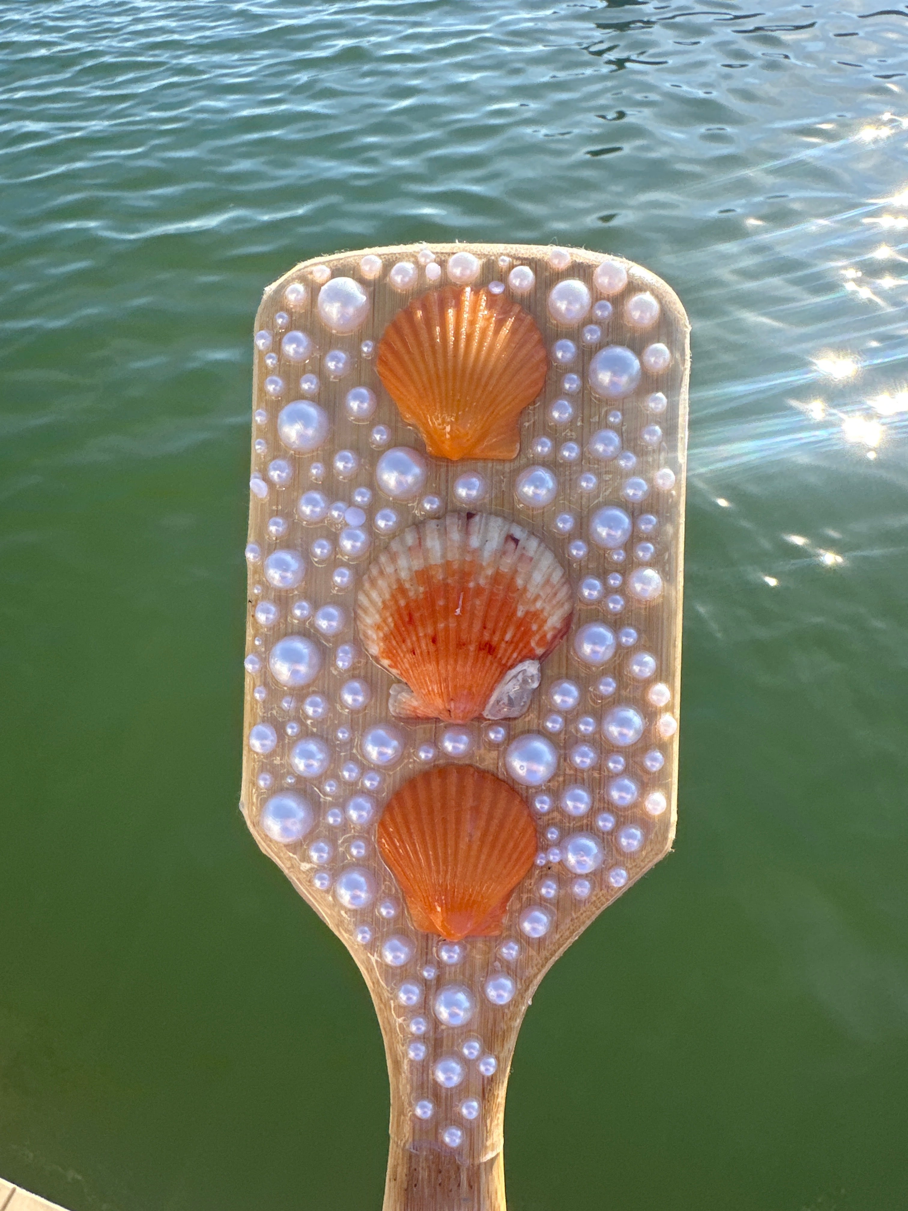 Shell Hair Brush