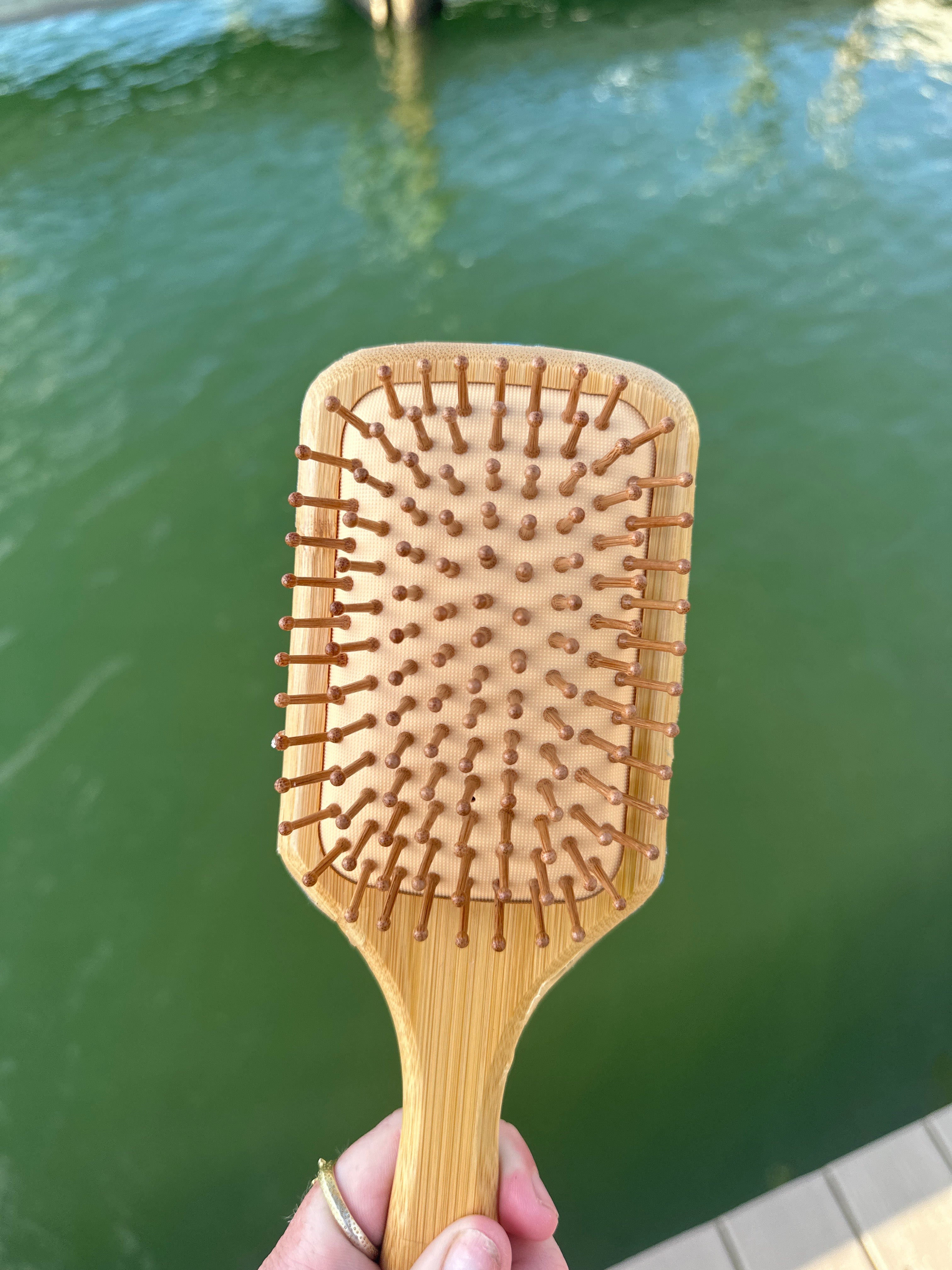 Shell Hair Brush