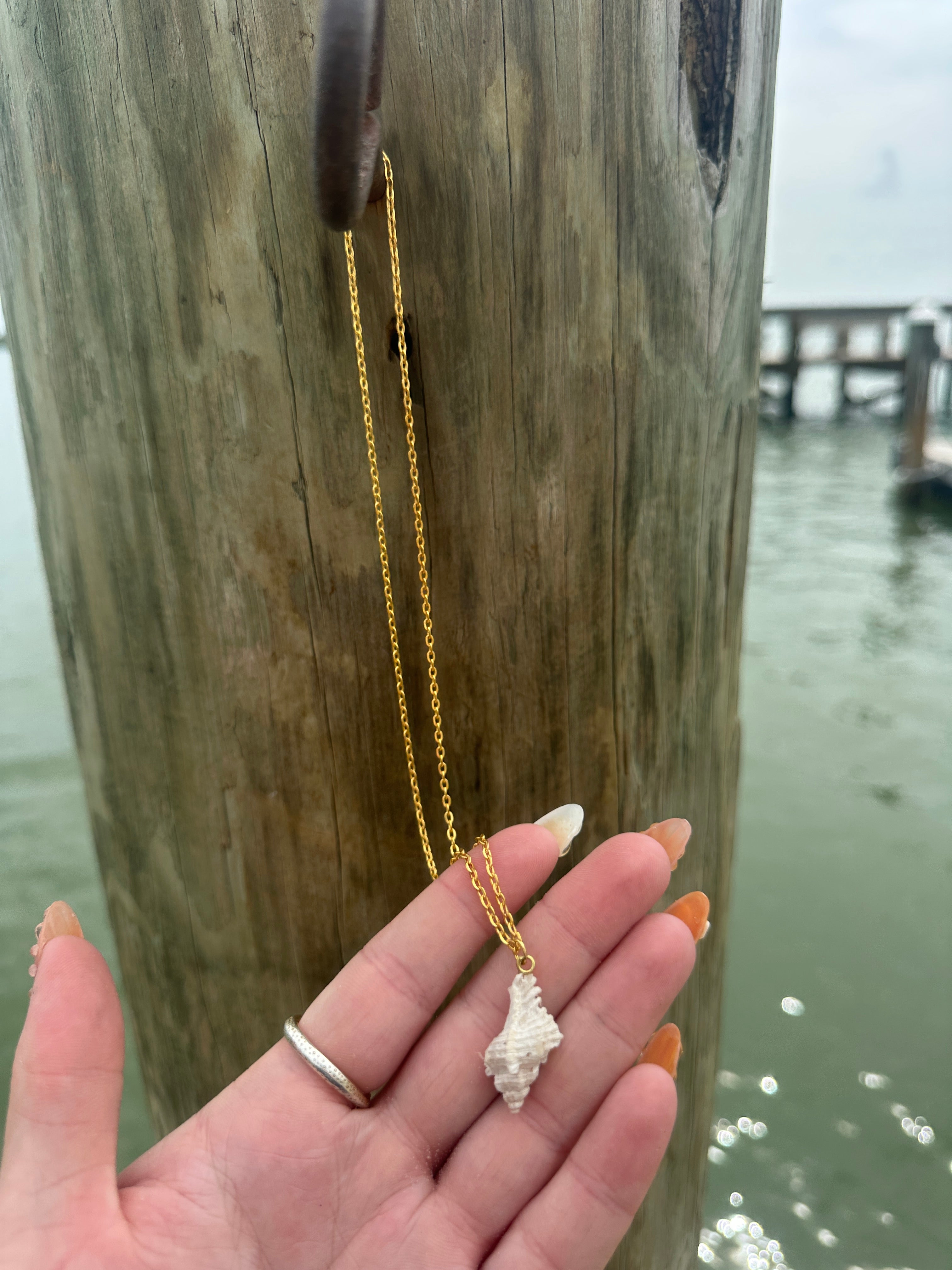 Lace murex gold necklace