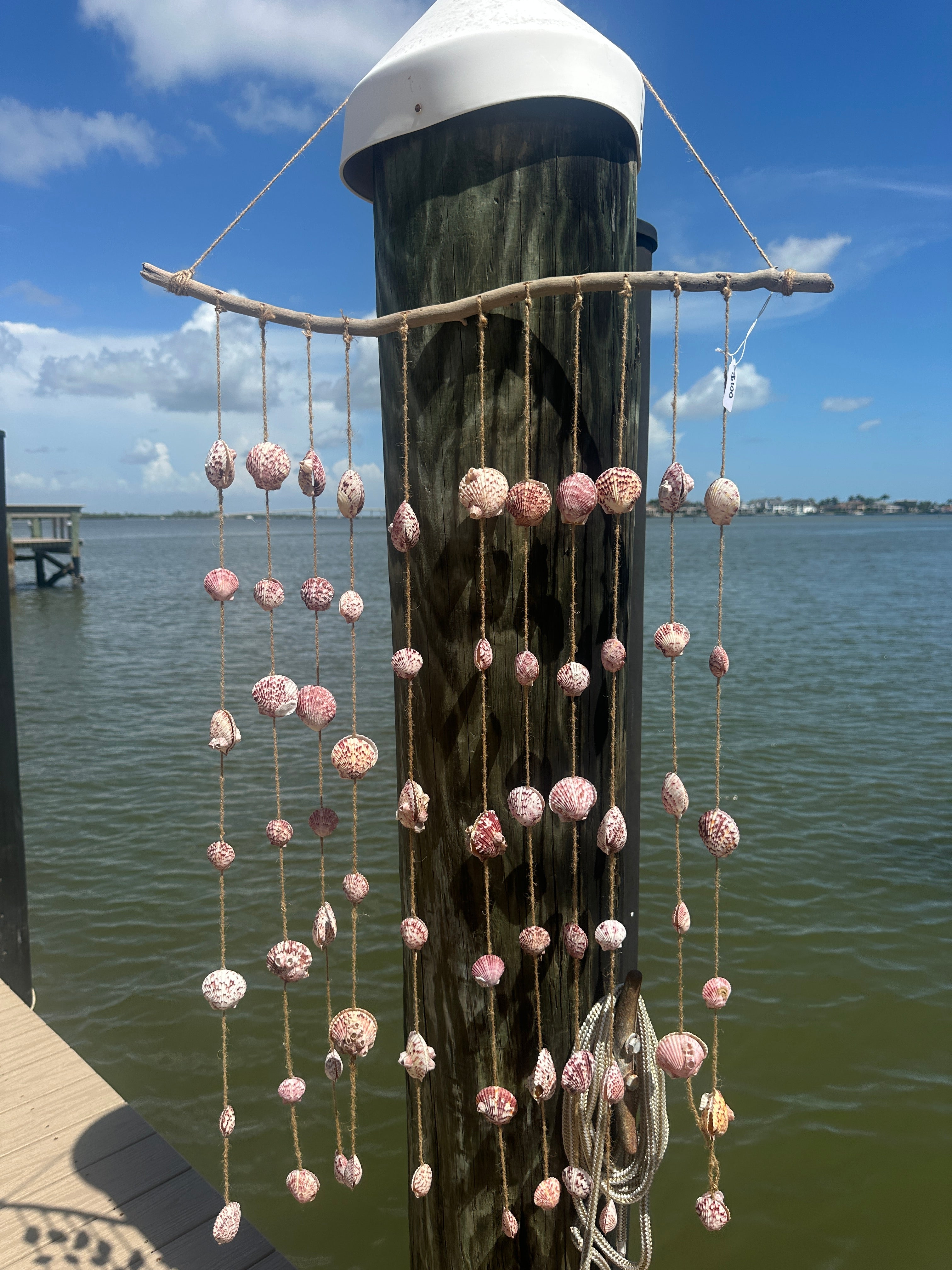 Pink Scallop Drift Wood Wind Chime