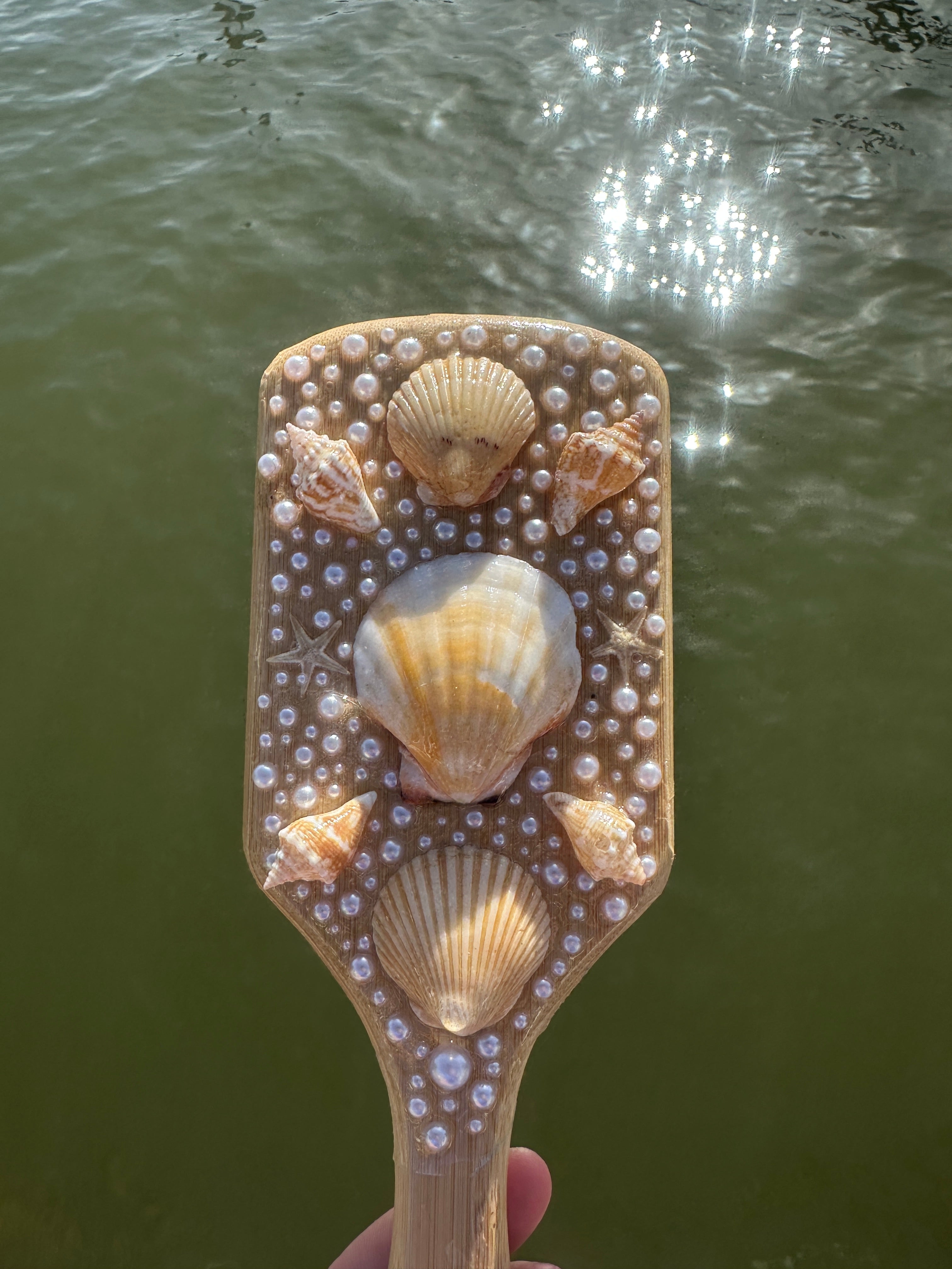 Shell Hair Brush