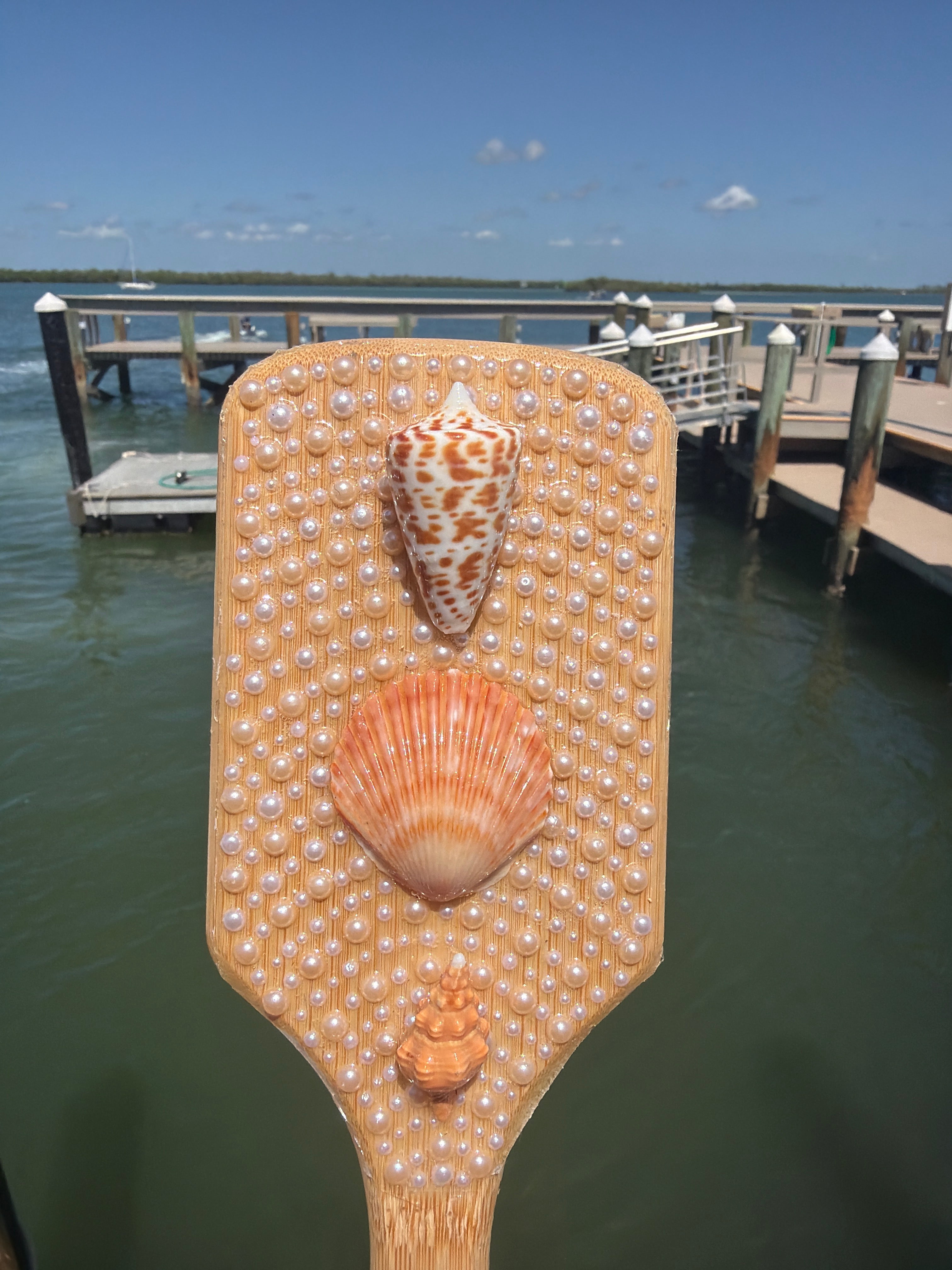 Shell Hair Brush