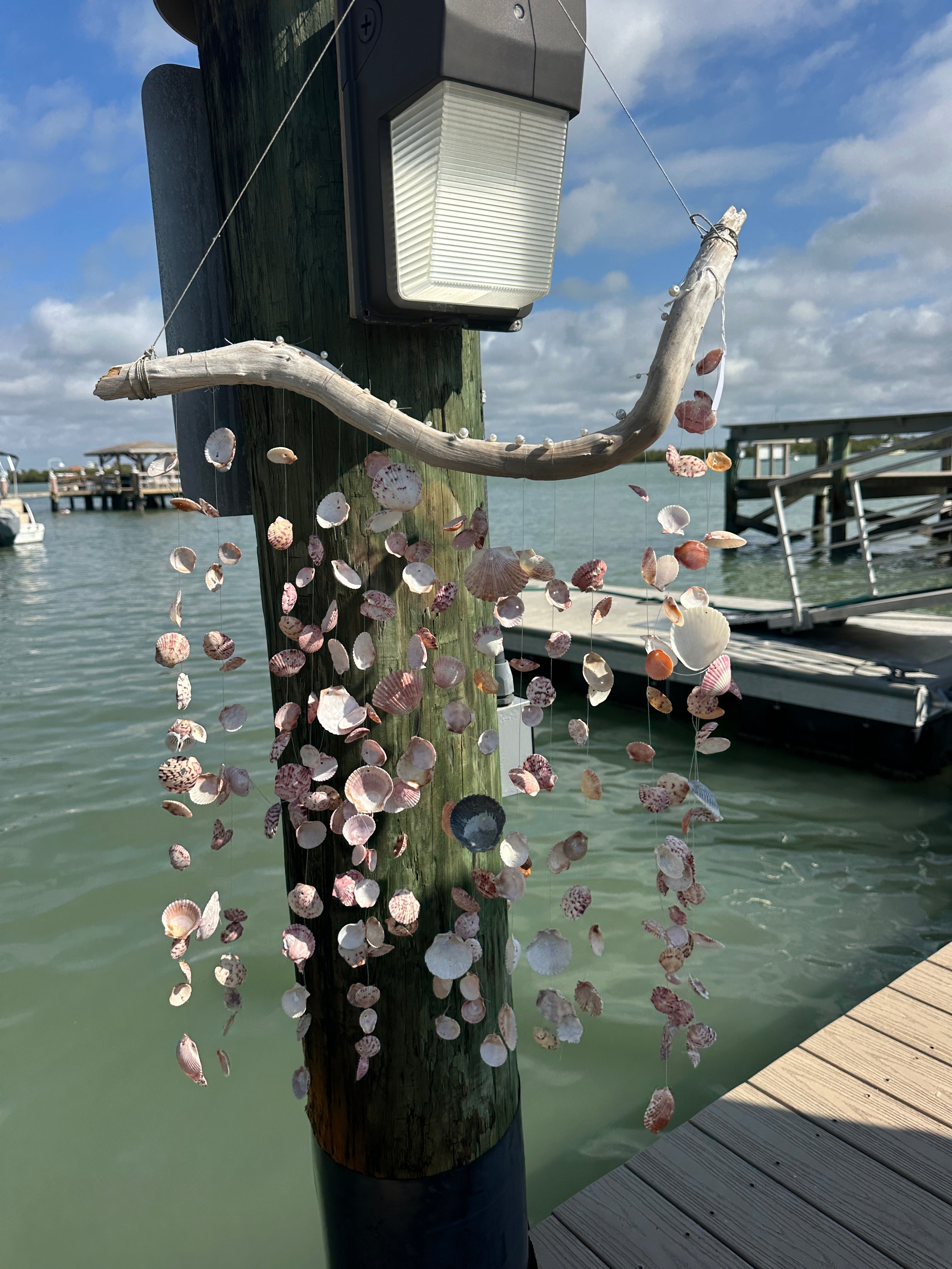 Scallop Drift Wood Chime