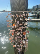 Drift wood wind chime