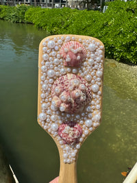 Shell Hair Brush
