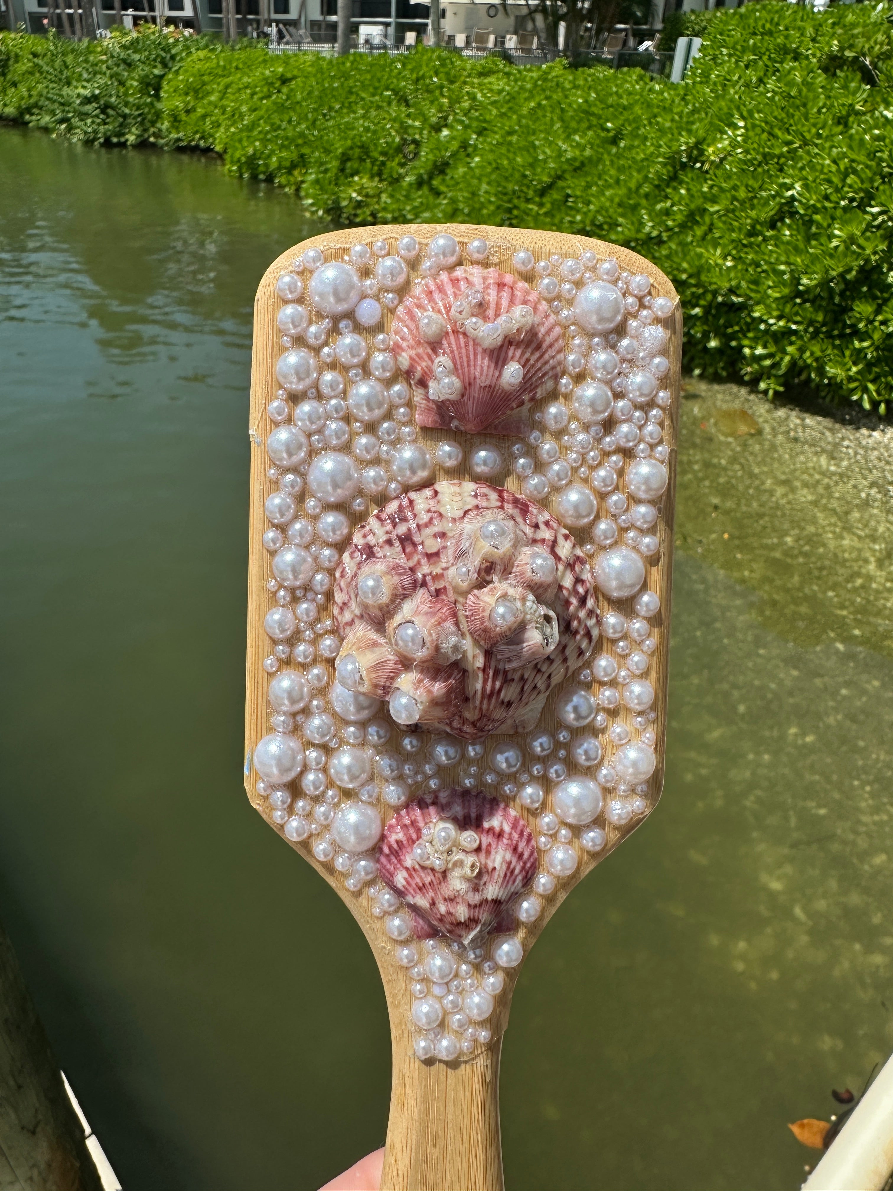 Shell Hair Brush