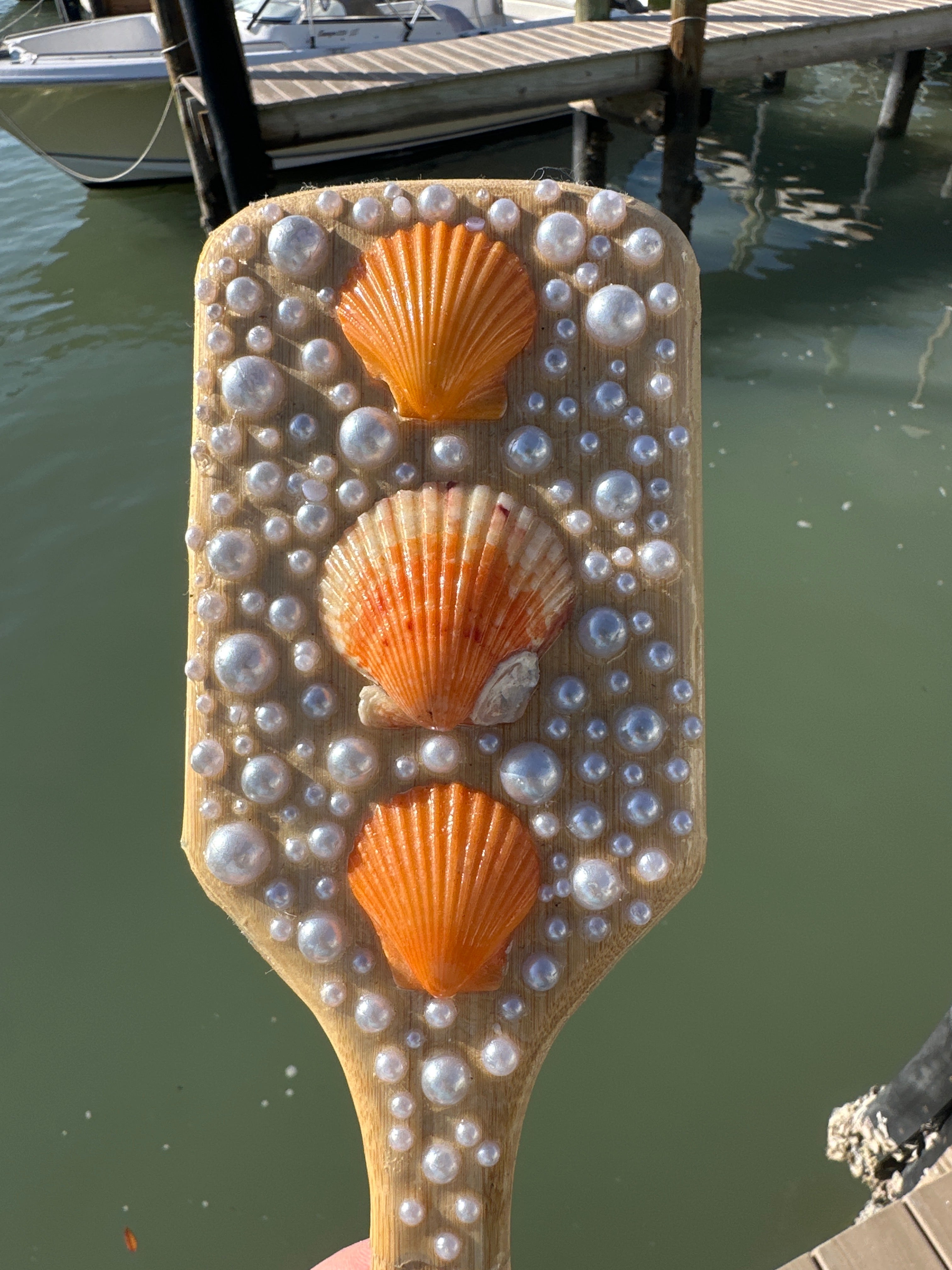 Shell Hair Brush