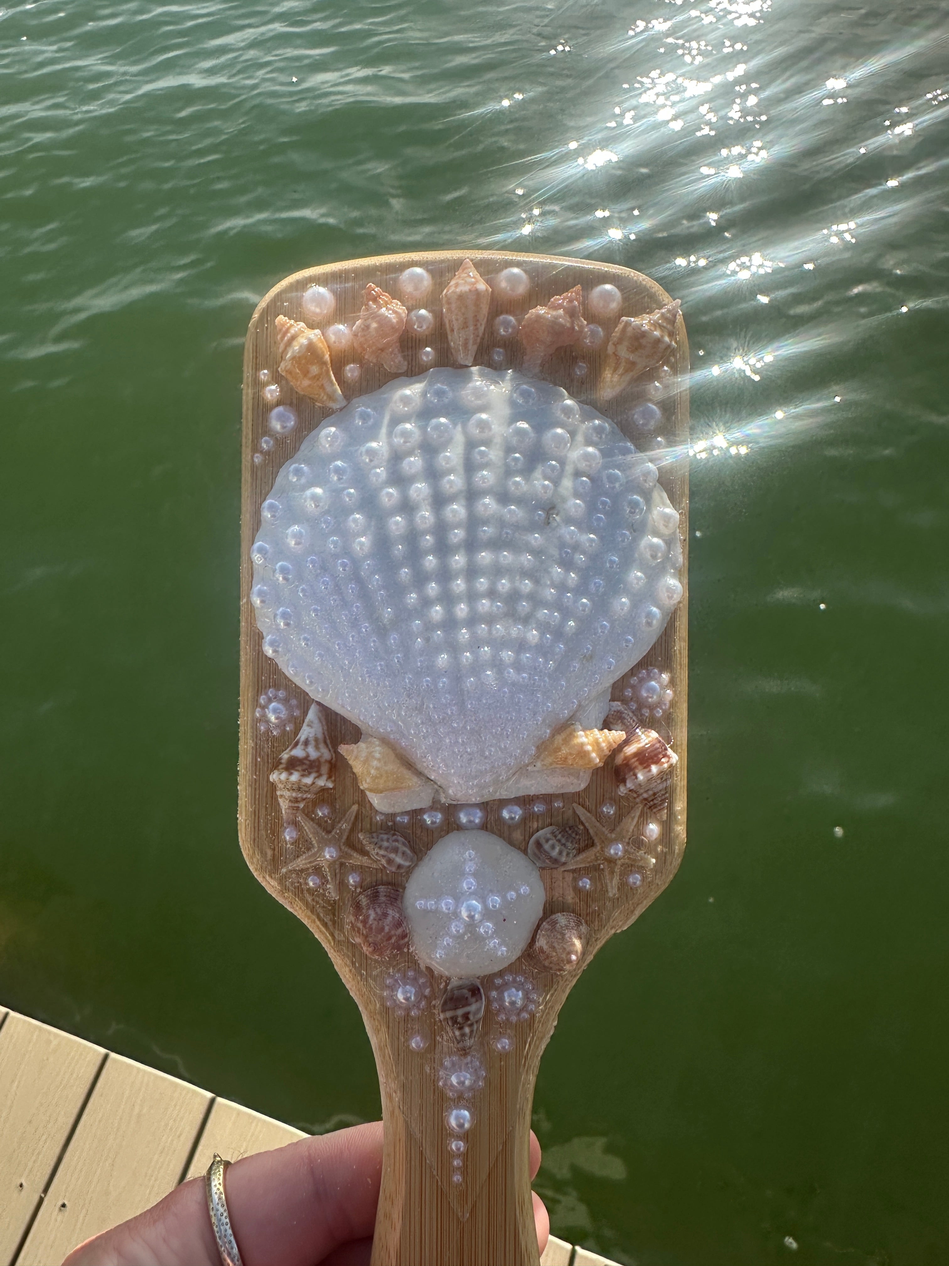 Shell hair brush