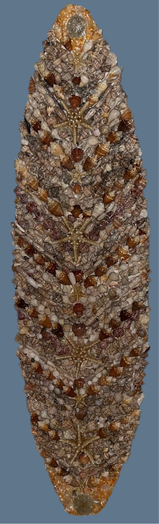 Shellboard