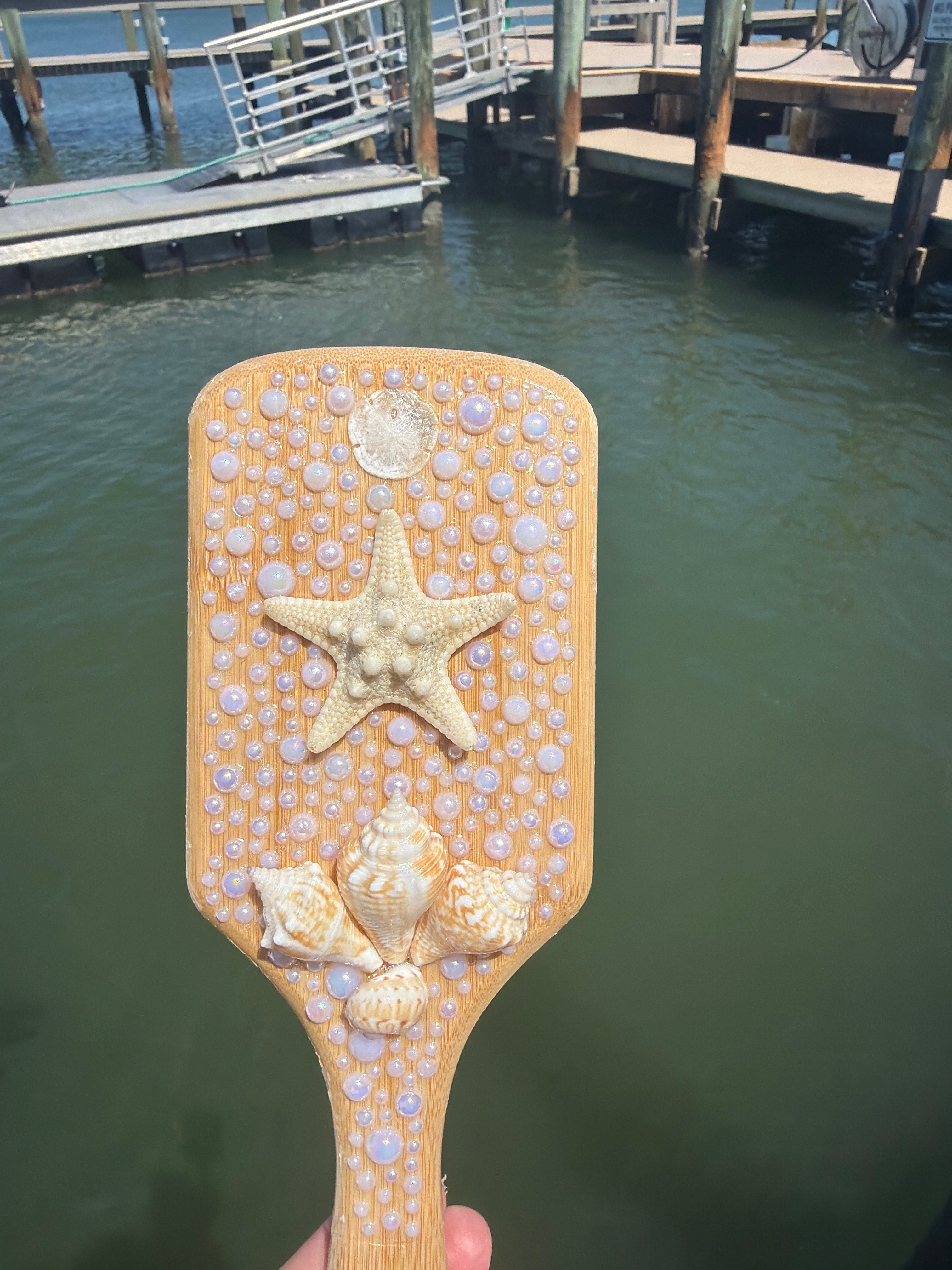 Shell Hair Brush