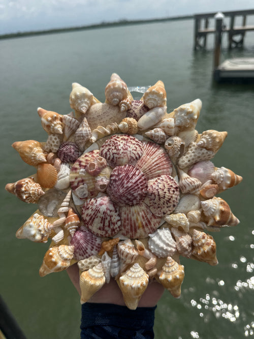 Sunshell