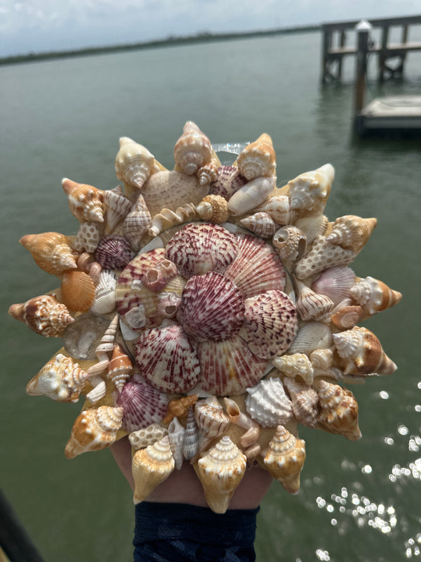Sunshell