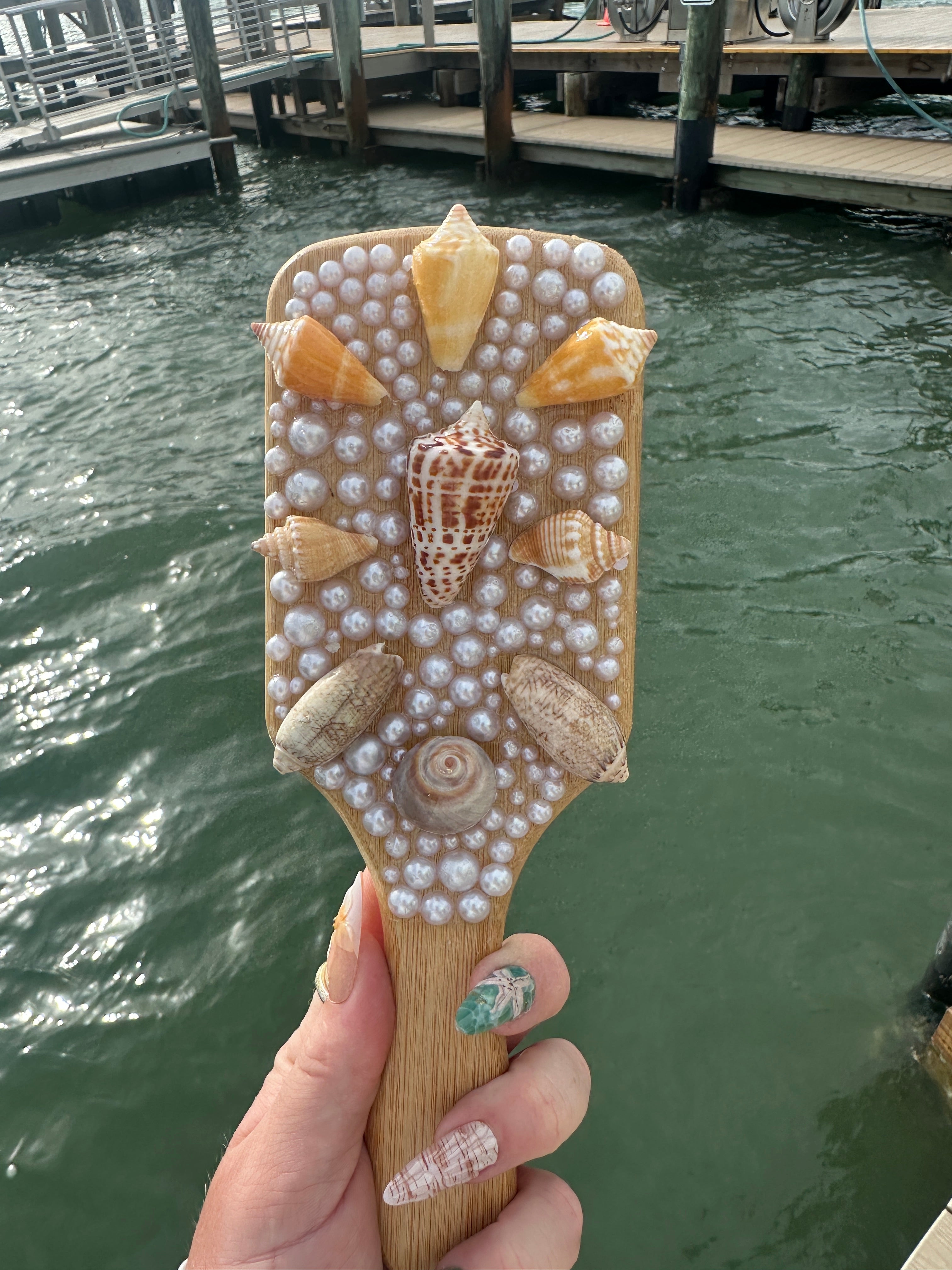 Shell hair brush