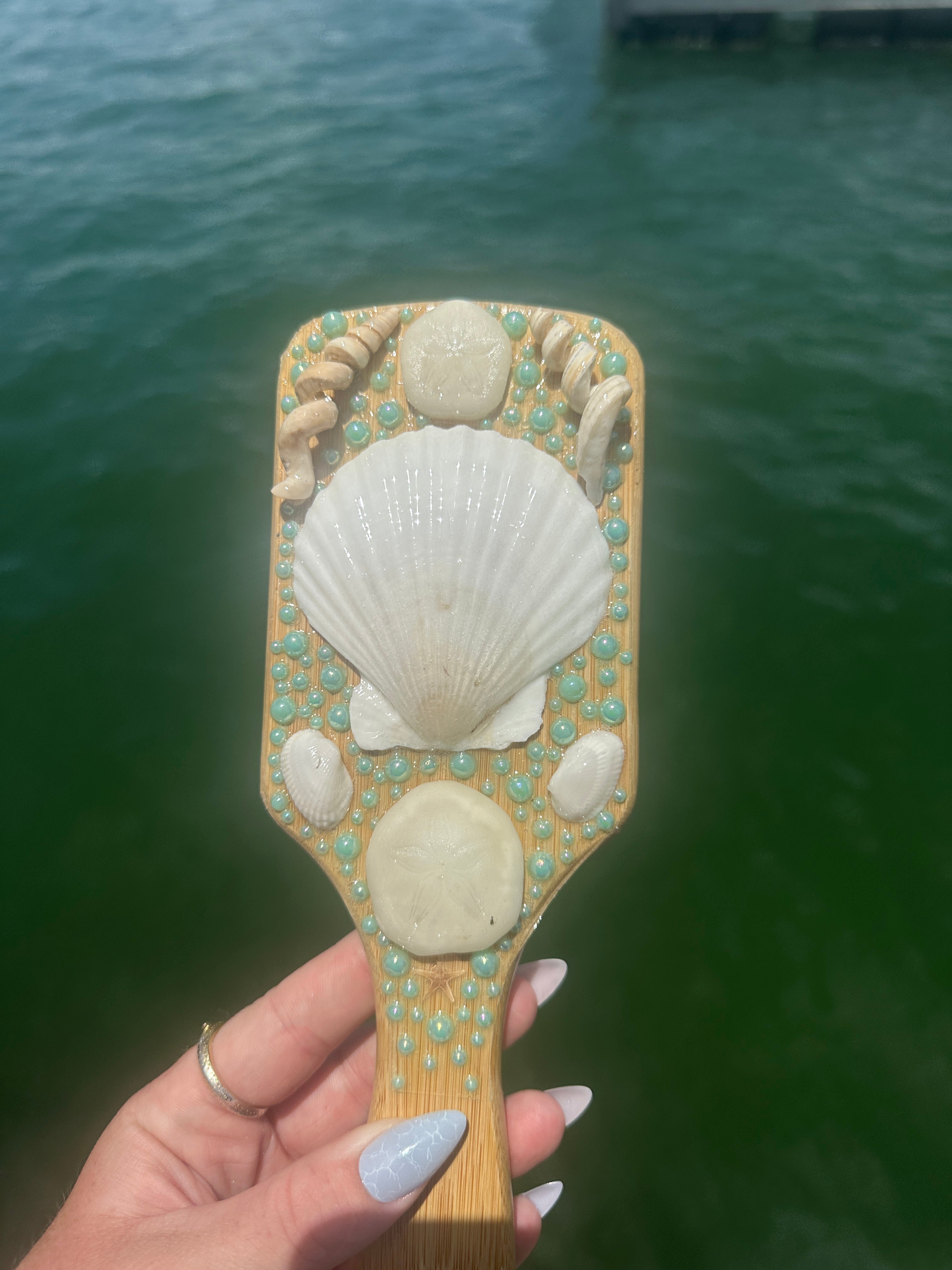 Shell hair brush