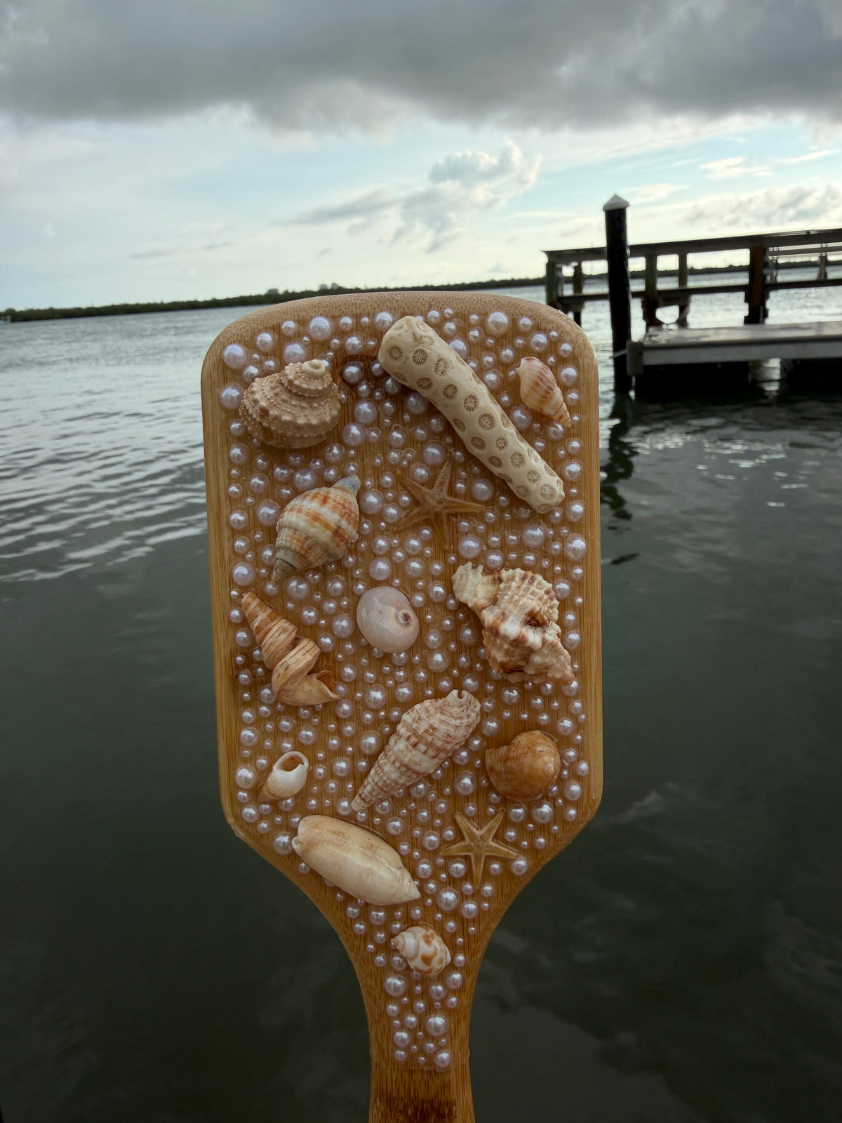Shell Hair Brush