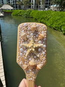 Shell hair brush
