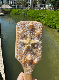 Shell hair brush
