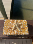 Shell Jewelry Box