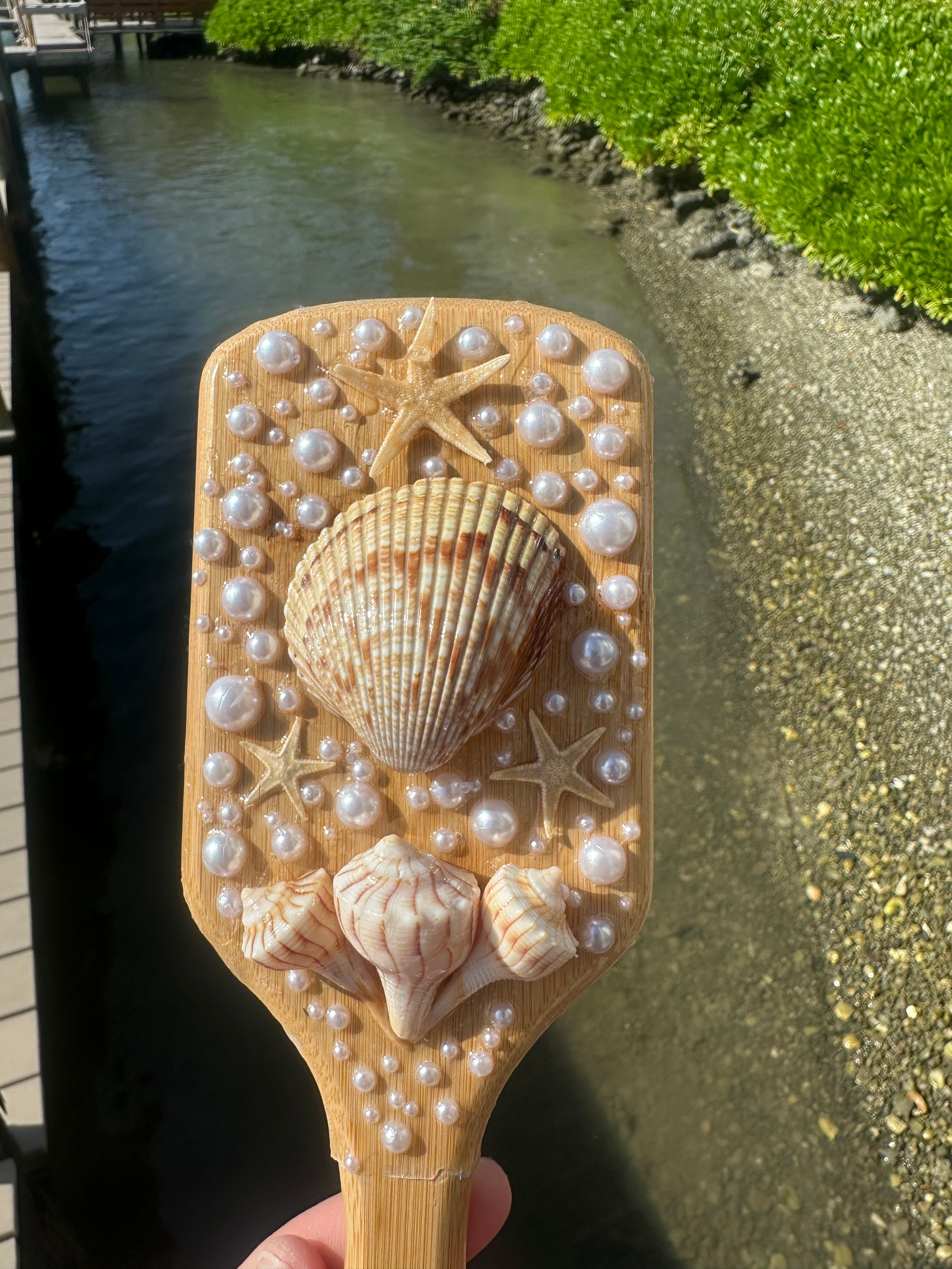 Shell Hair Brush