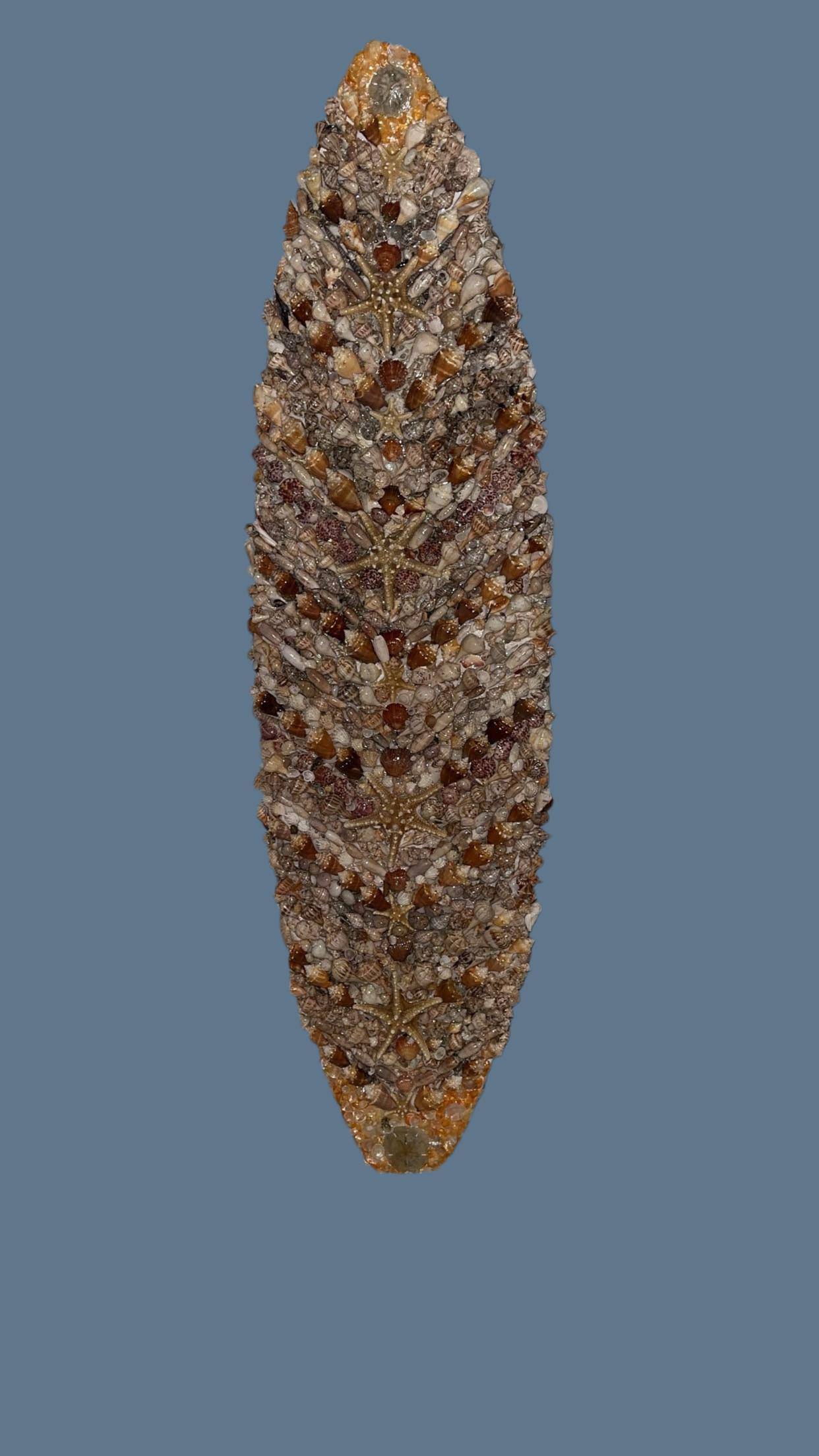 Shellboard