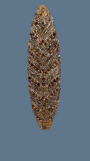 Shellboard