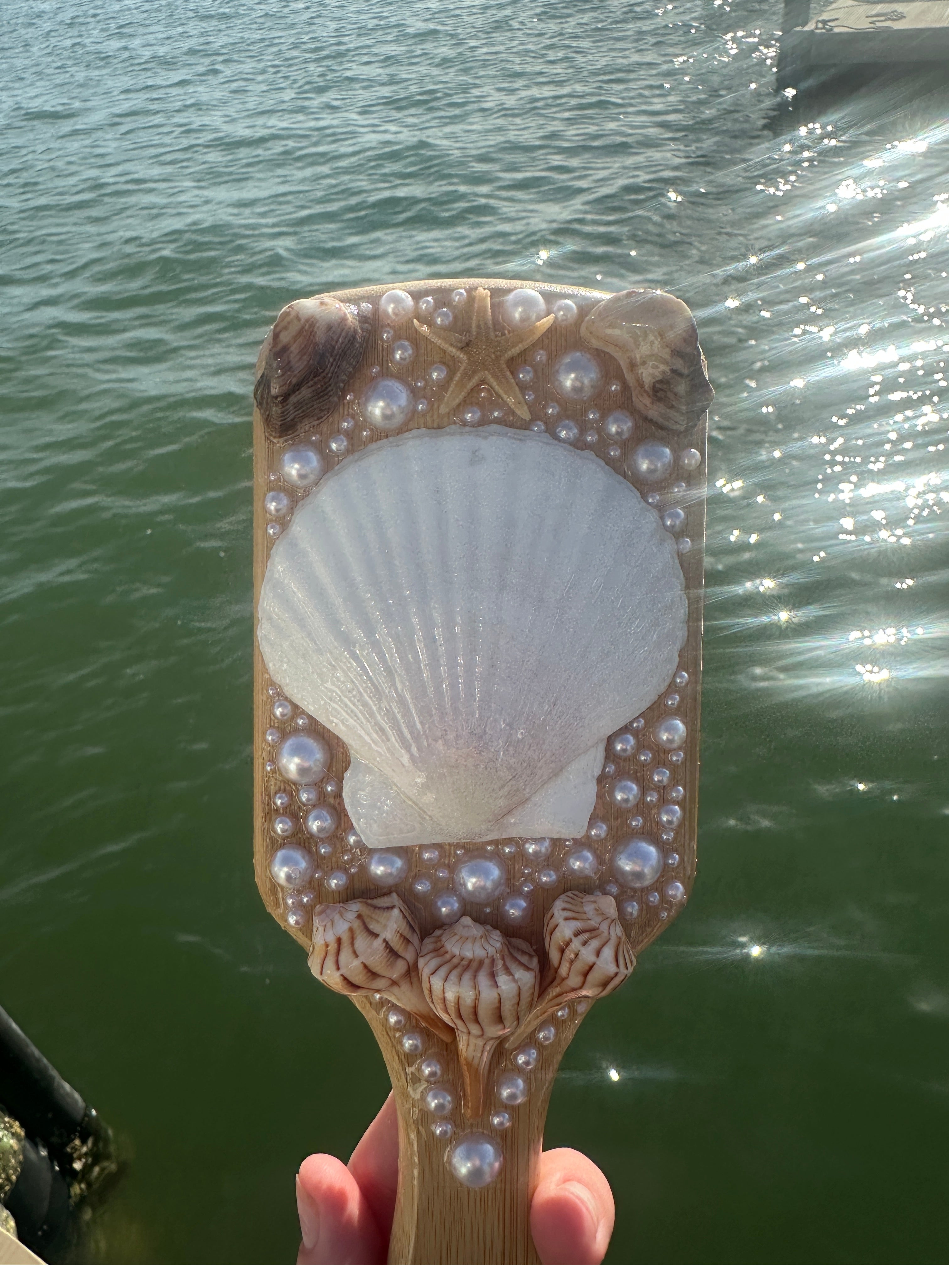 Shell Hair Brush
