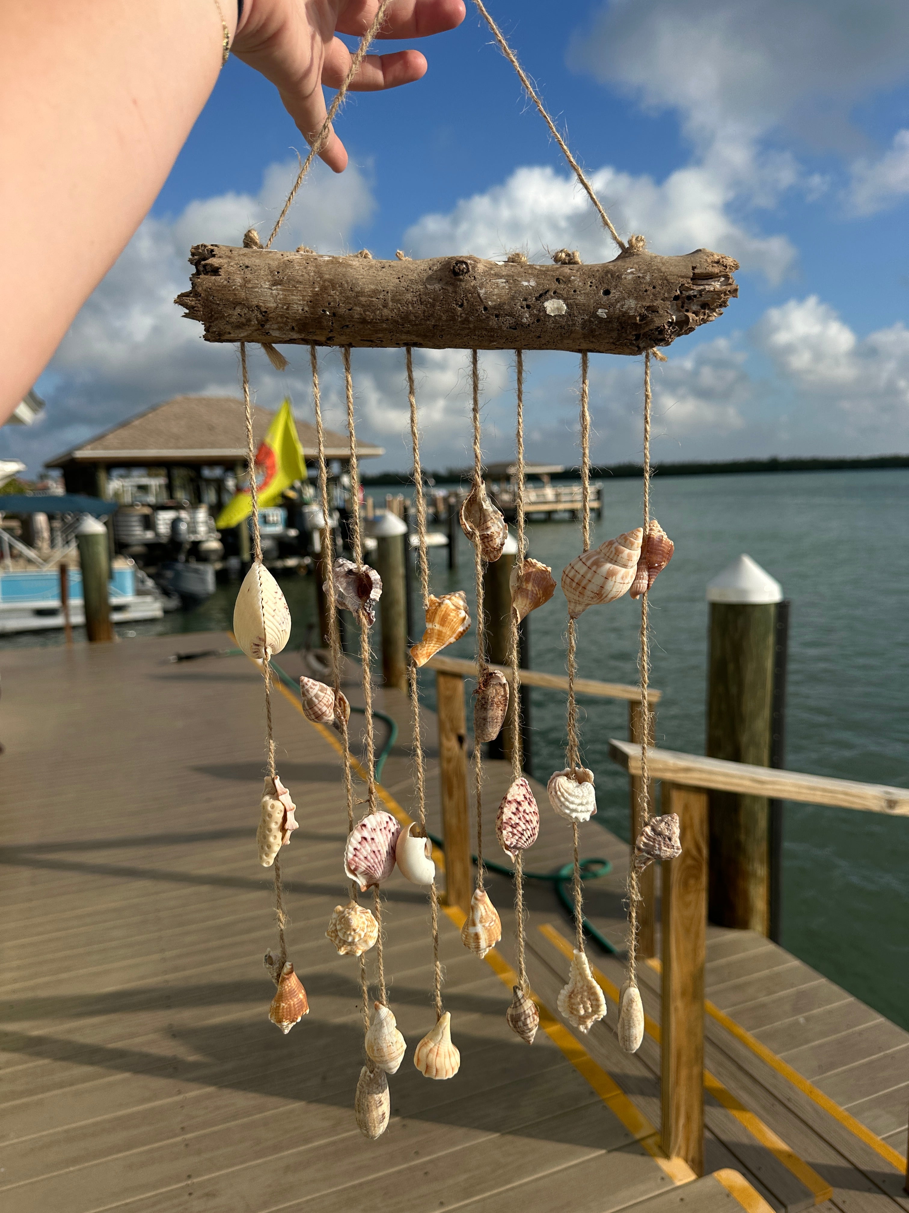 Drift Wood Shell Wind Chime "mini"